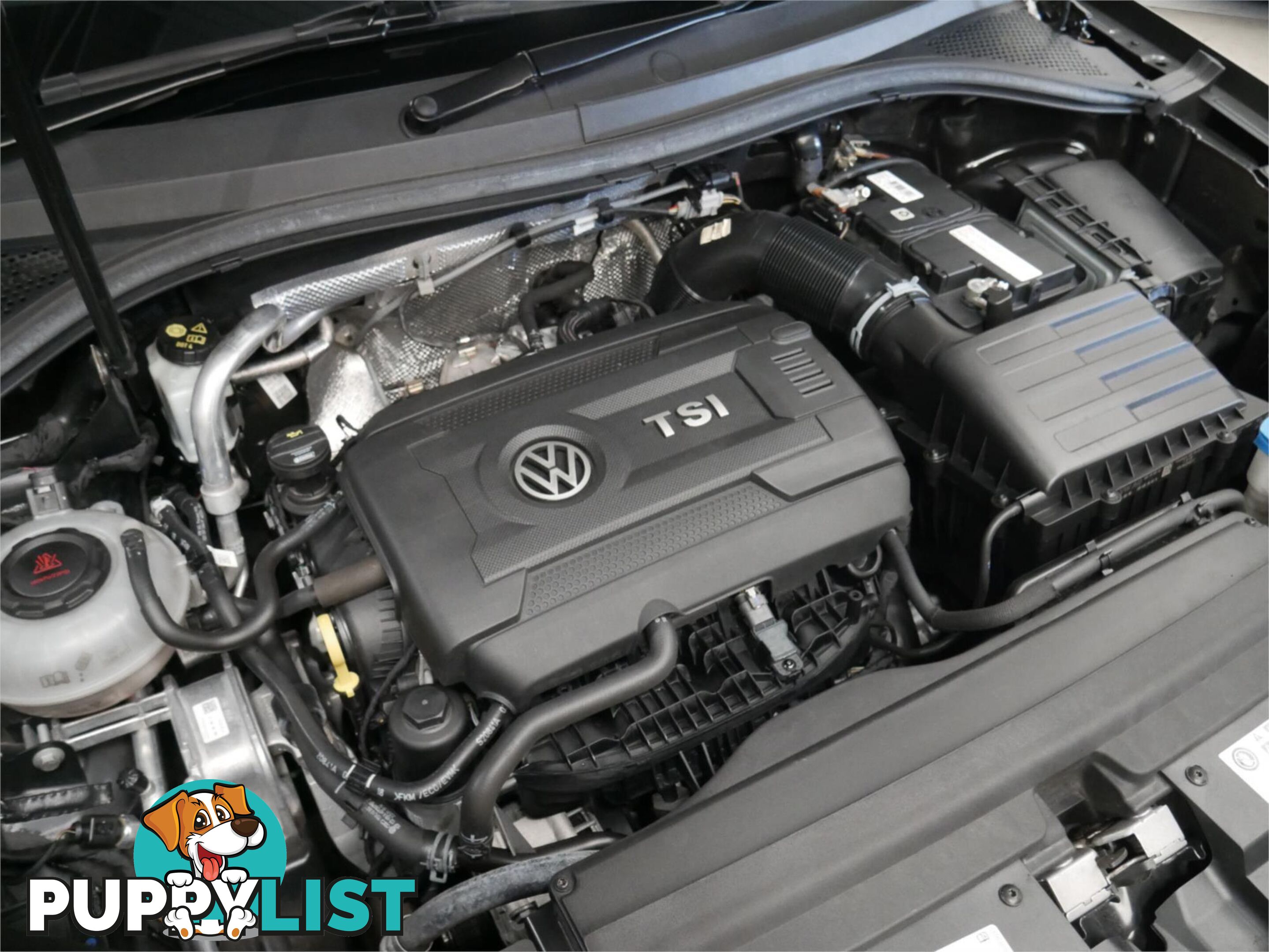 2019 VOLKSWAGEN TIGUAN 162TSIHIGHLINE 5NAMY19 4D WAGON