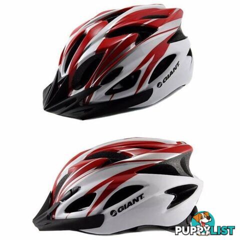 Brand New Giant Bike Helmet