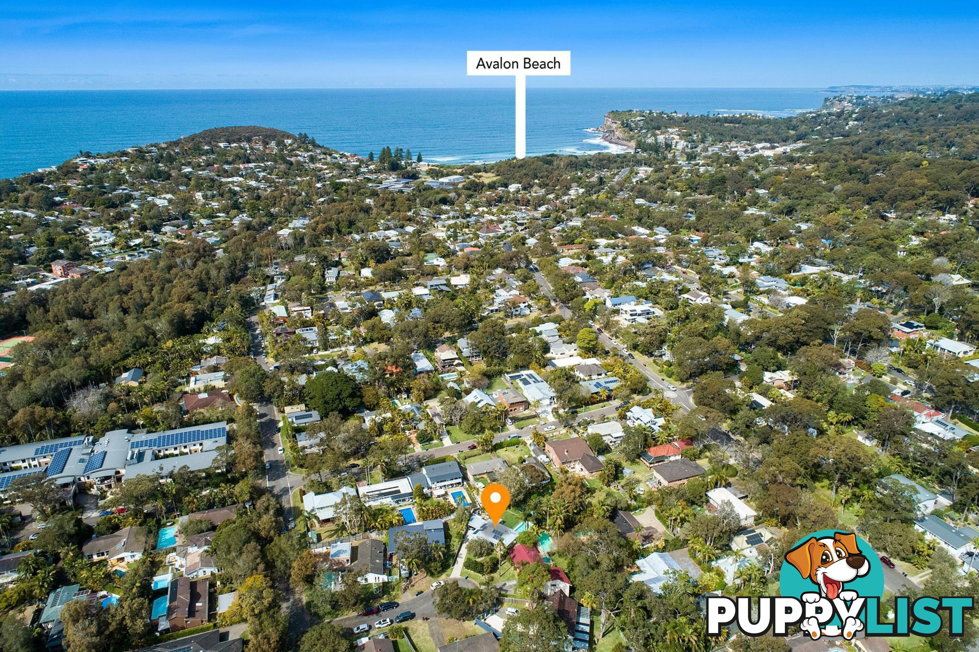 3 Toorak Place AVALON BEACH NSW 2107