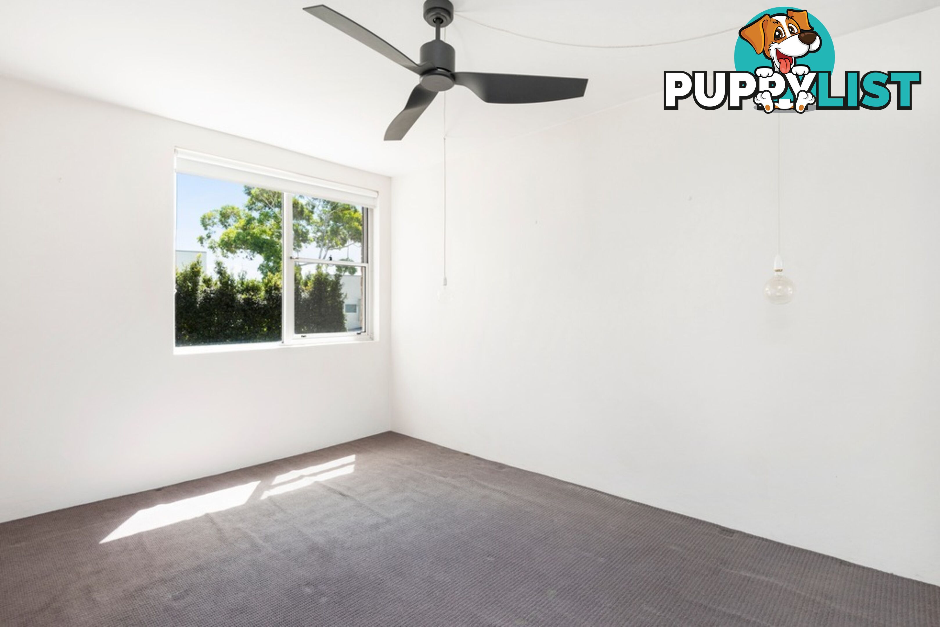 3/55 Darley Street MONA VALE NSW 2103