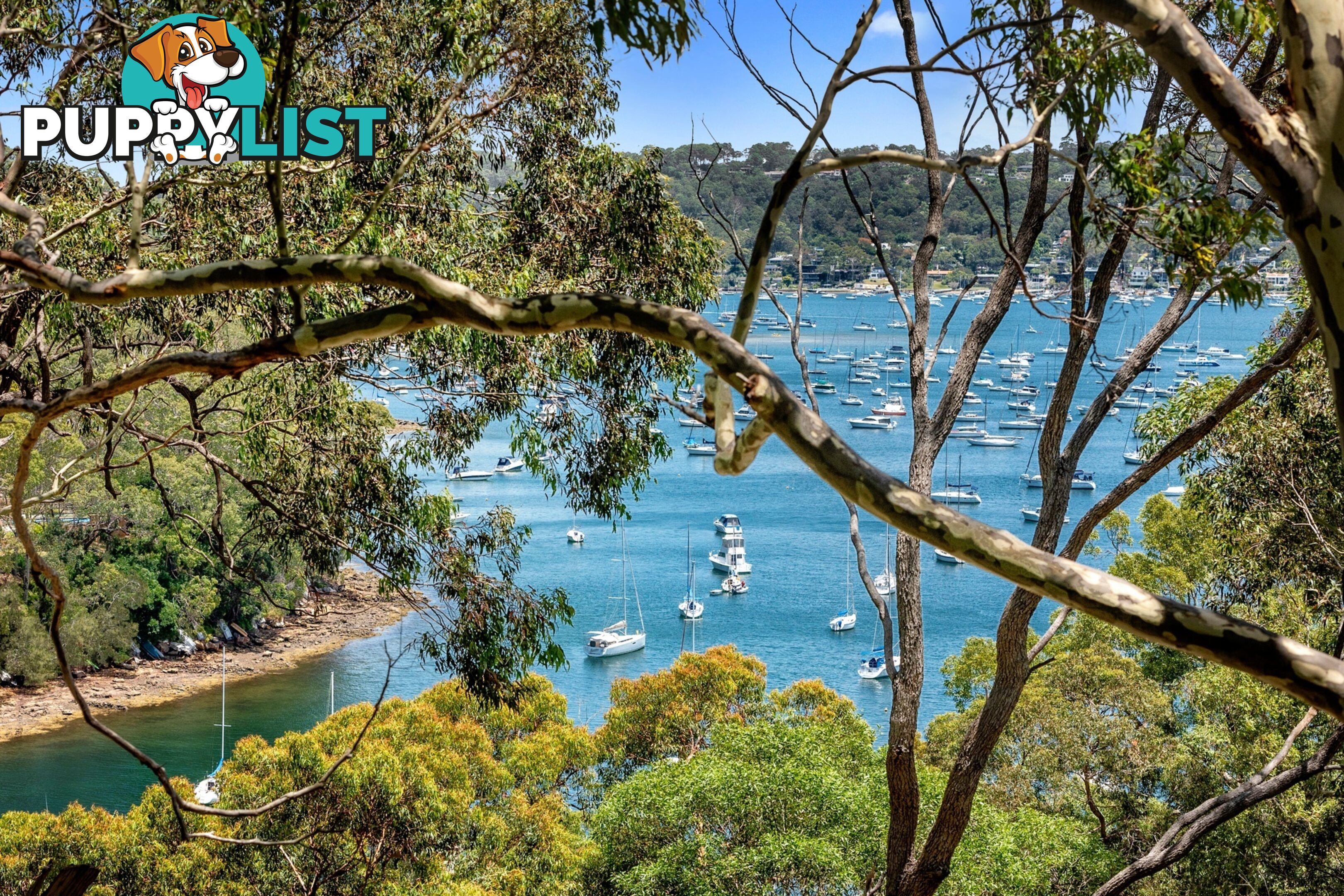 237 Hudson Parade CLAREVILLE NSW 2107
