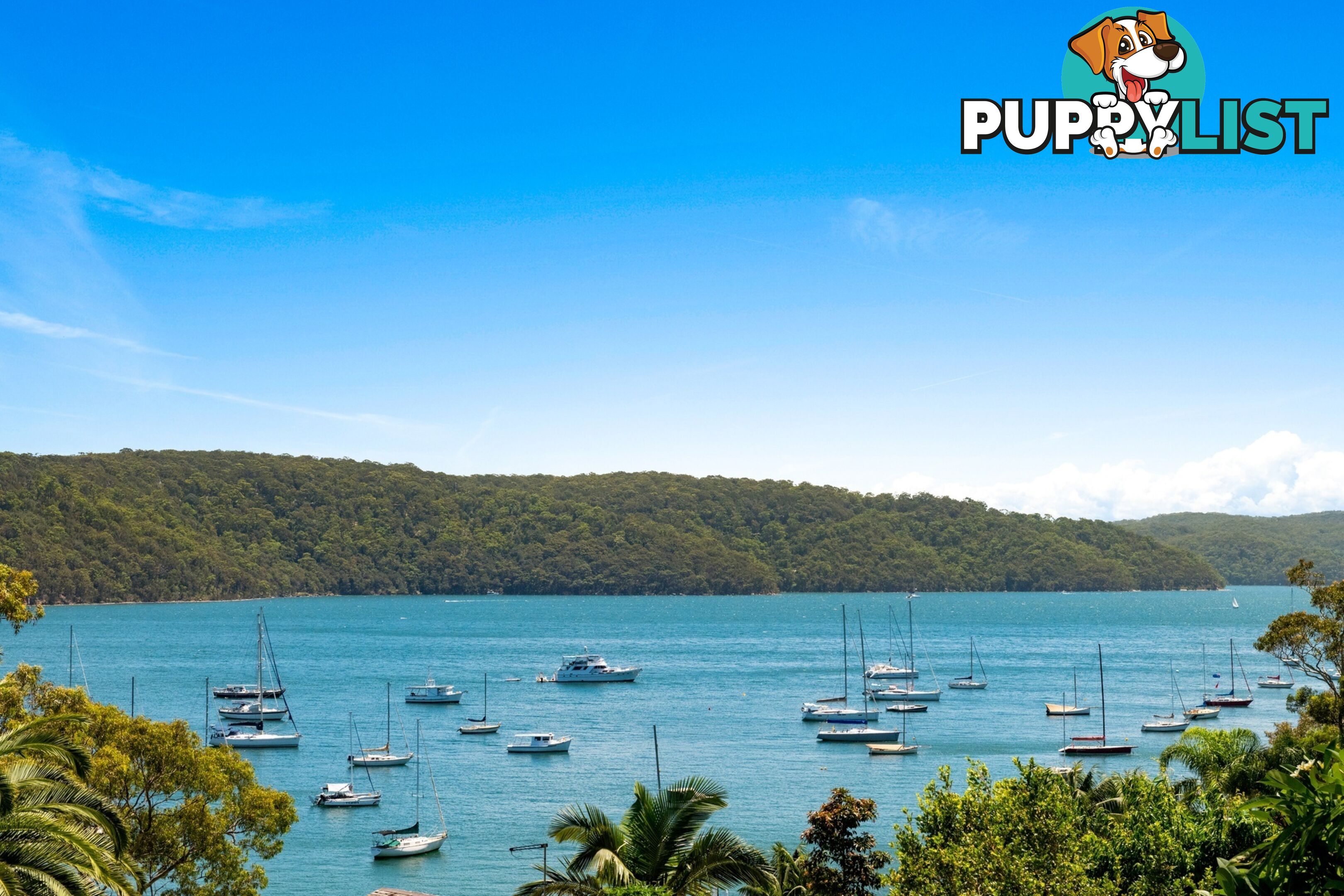 24 Hudson Parade AVALON BEACH NSW 2107