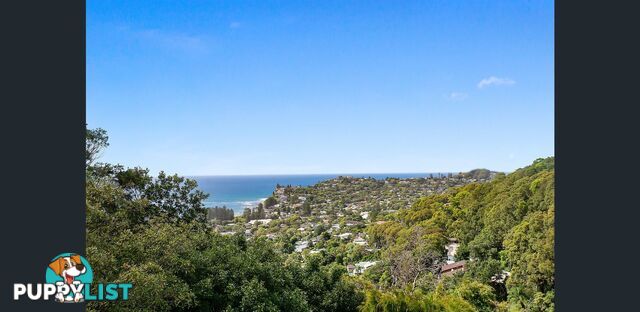 29 Monterey Road BILGOLA PLATEAU NSW 2107