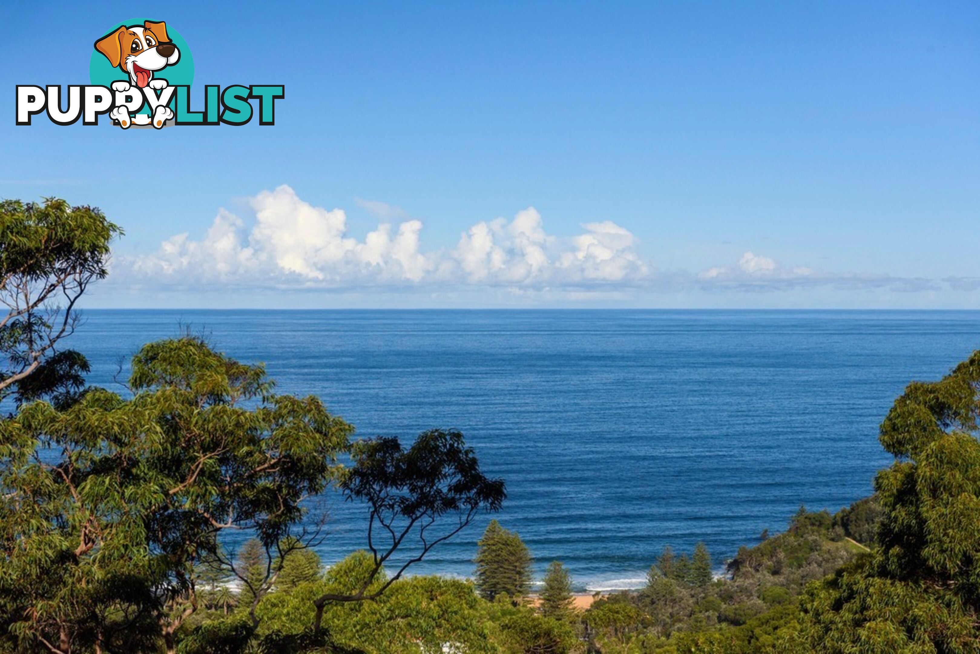 10 The Outlook BILGOLA PLATEAU NSW 2107