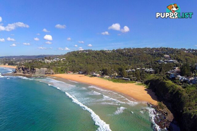 10 The Outlook BILGOLA PLATEAU NSW 2107