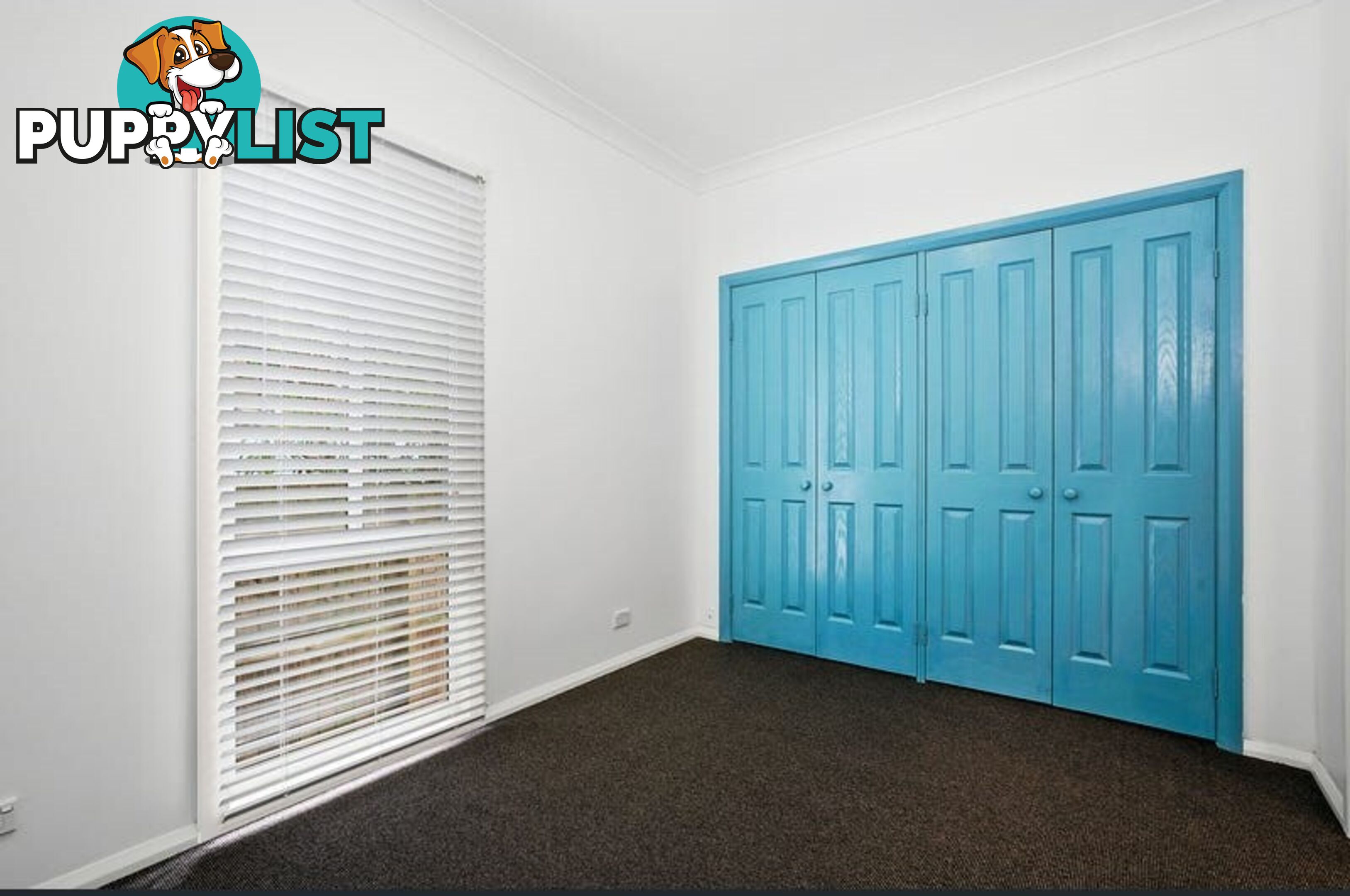 Flat 120 Palmgrove Road AVALON BEACH NSW 2107