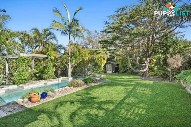 19 George Street AVALON BEACH NSW 2107