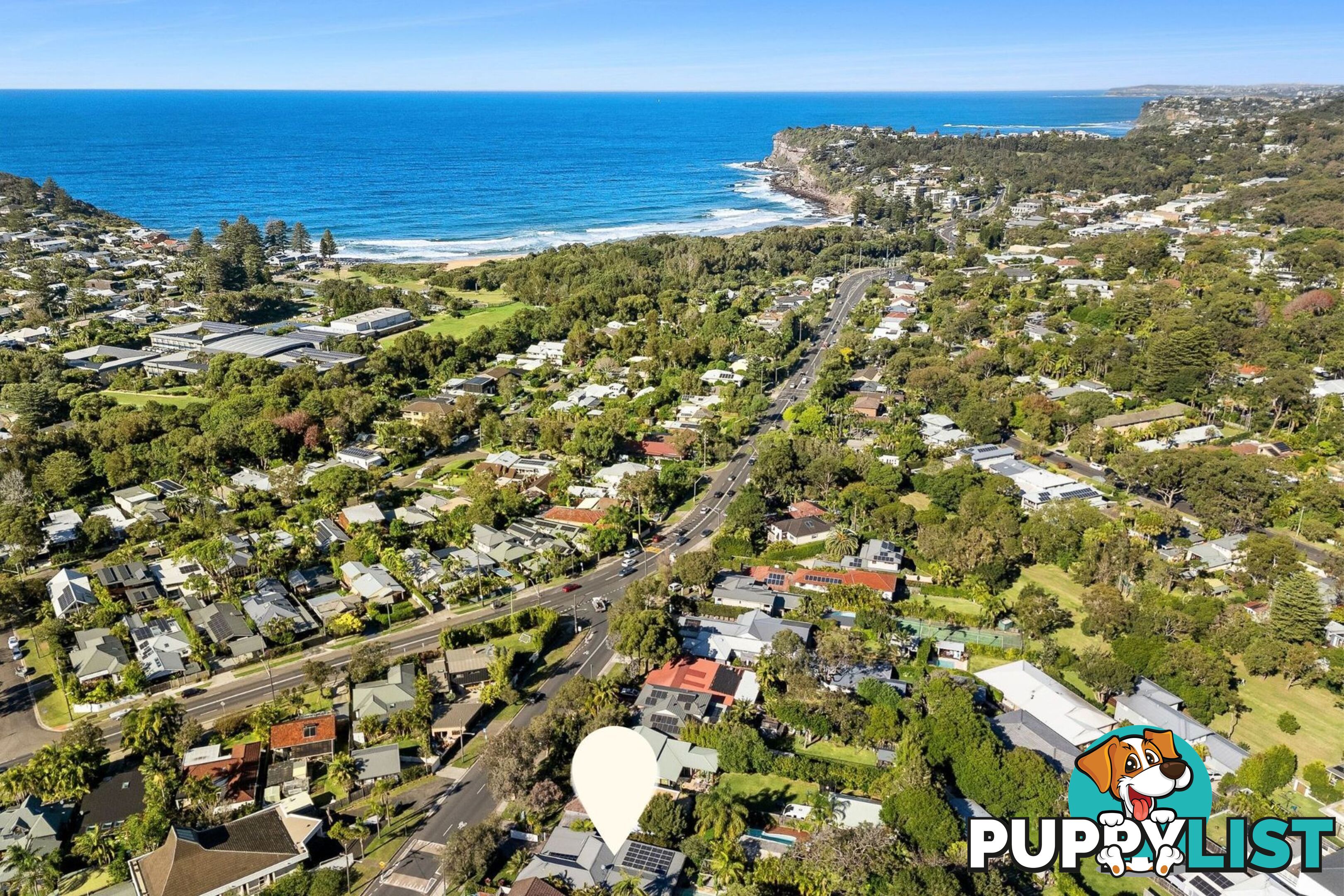 19 George Street AVALON BEACH NSW 2107