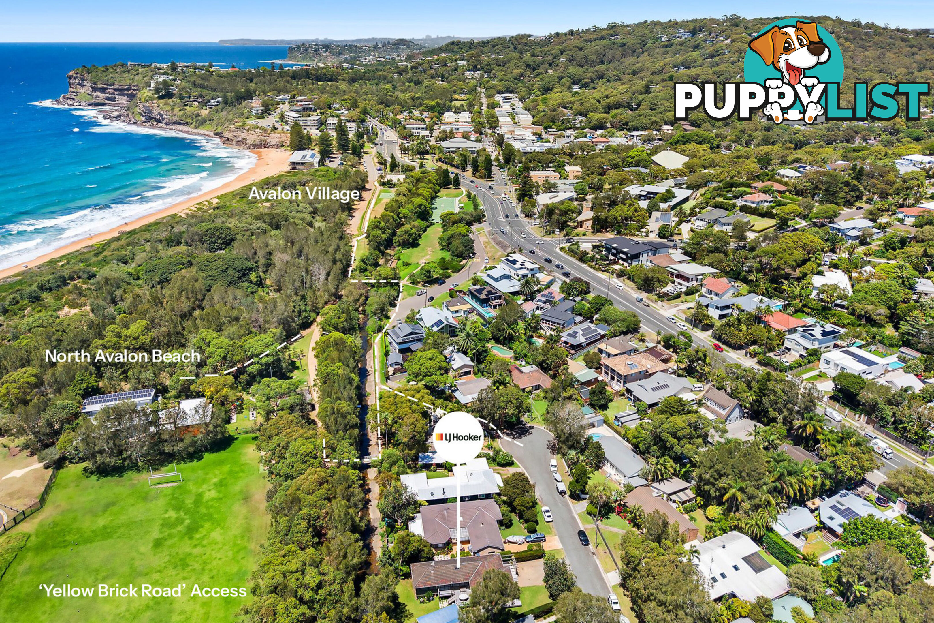 51 Elaine Avenue AVALON BEACH NSW 2107