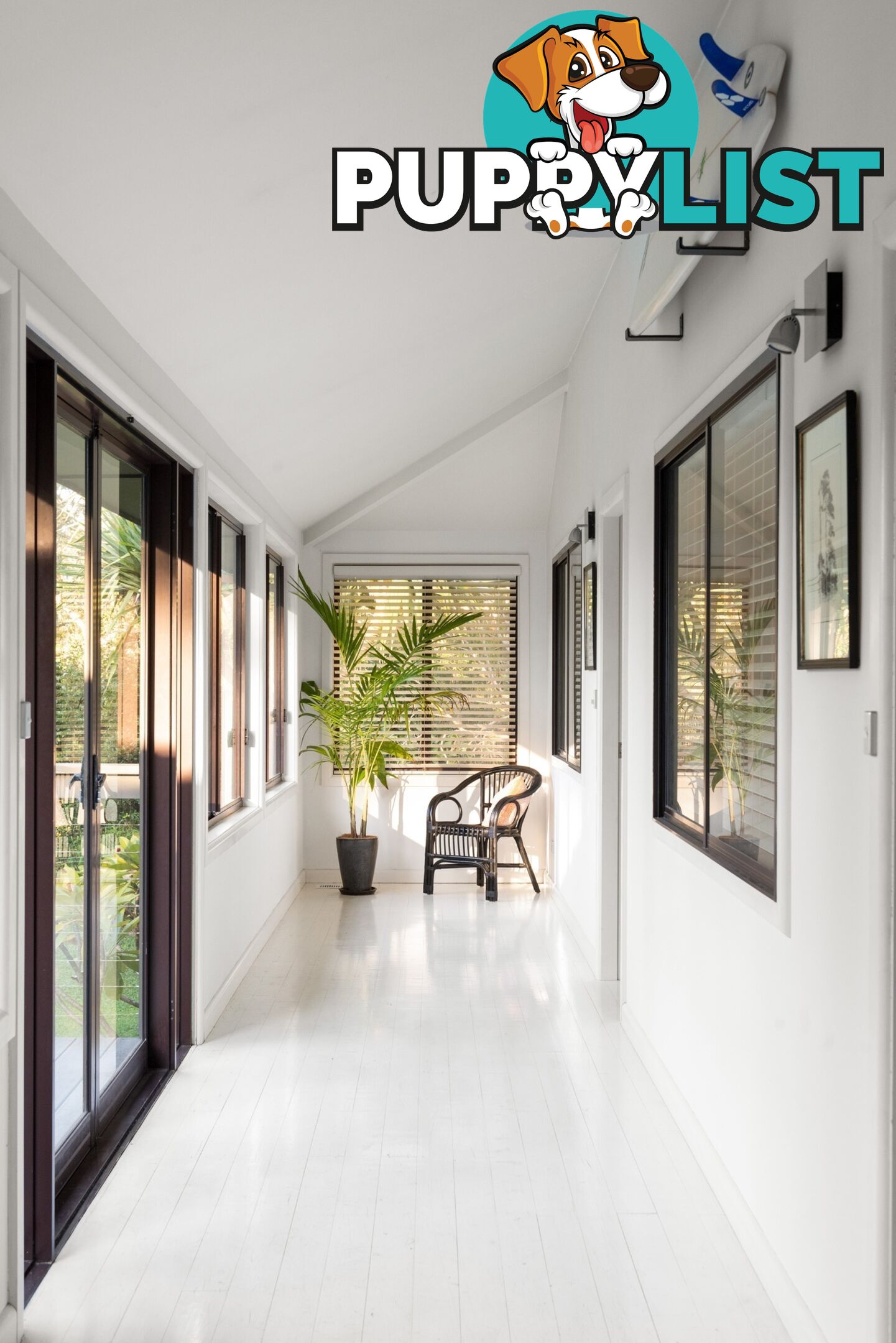 51 Elaine Avenue AVALON BEACH NSW 2107