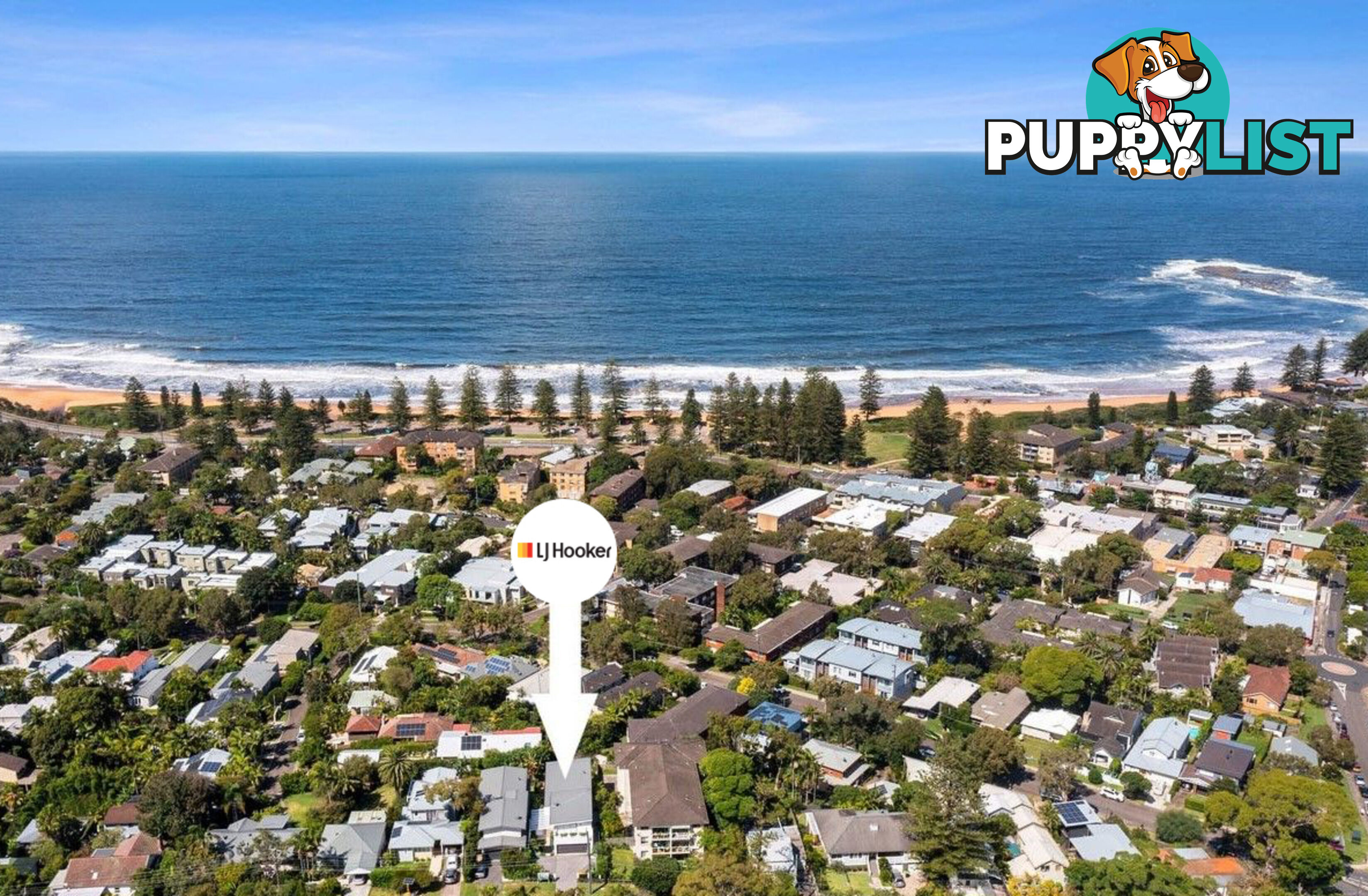 35a Seaview Avenue NEWPORT NSW 2106