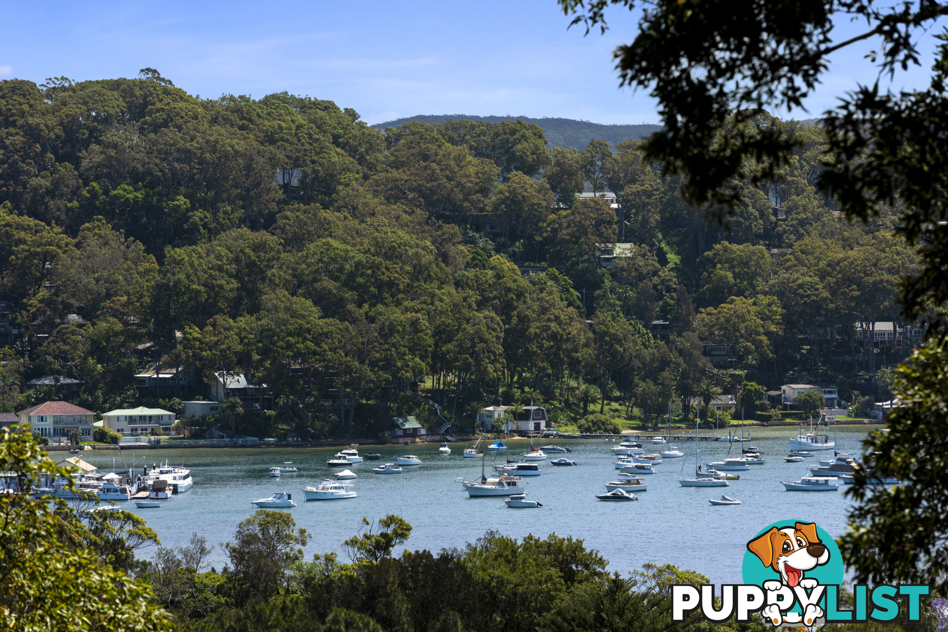 65 Dolphin Crescent AVALON BEACH NSW 2107