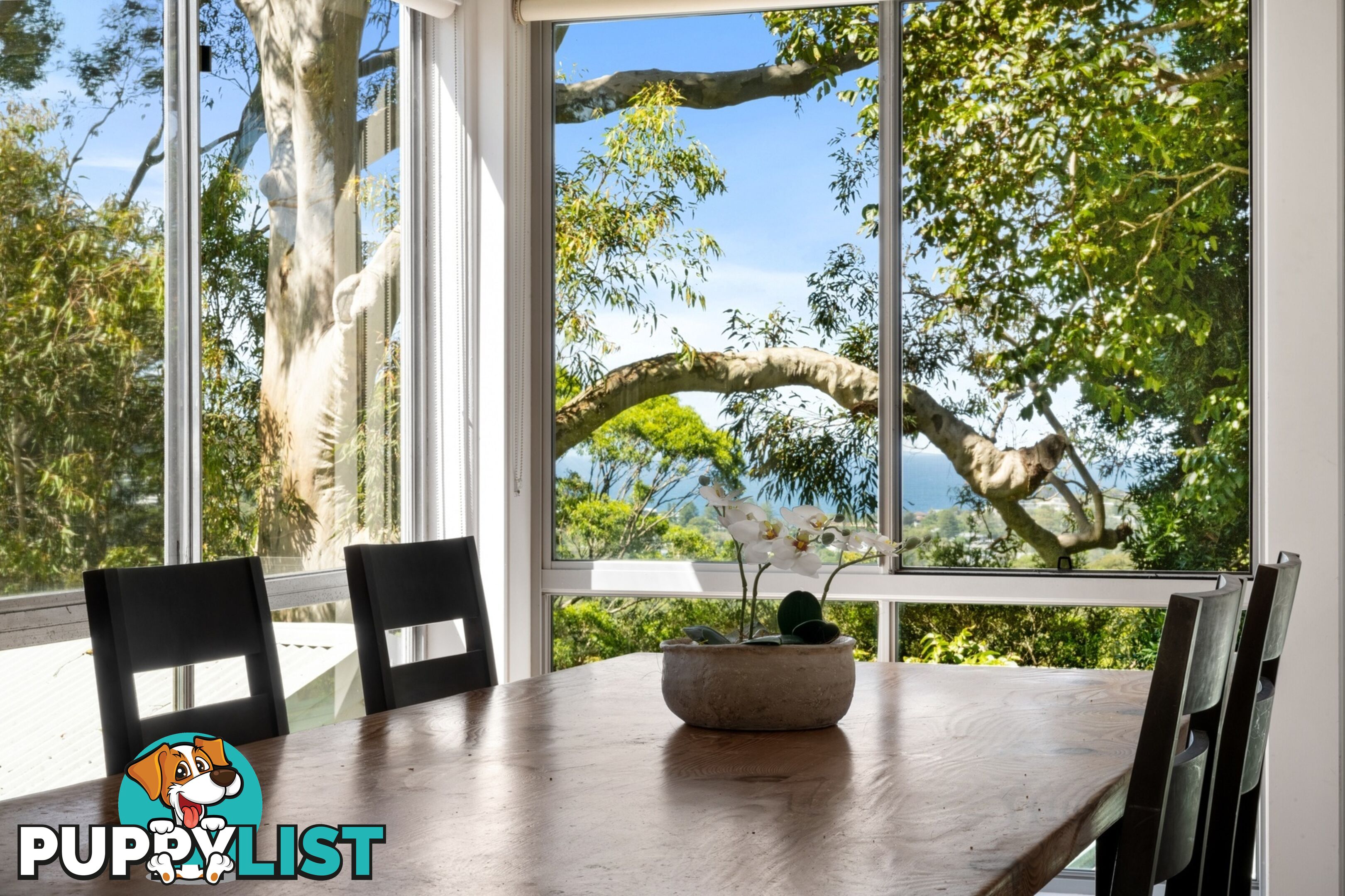 86 Riviera Avenue AVALON BEACH NSW 2107