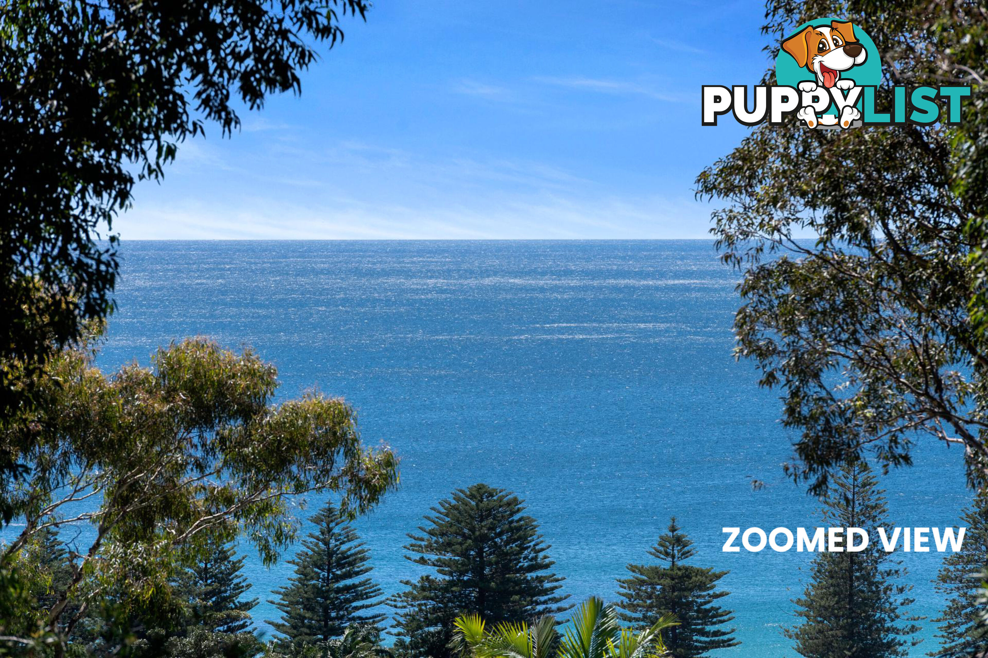 51 Grandview Drive NEWPORT NSW 2106