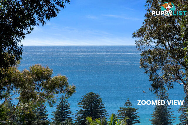 51 Grandview Drive NEWPORT NSW 2106