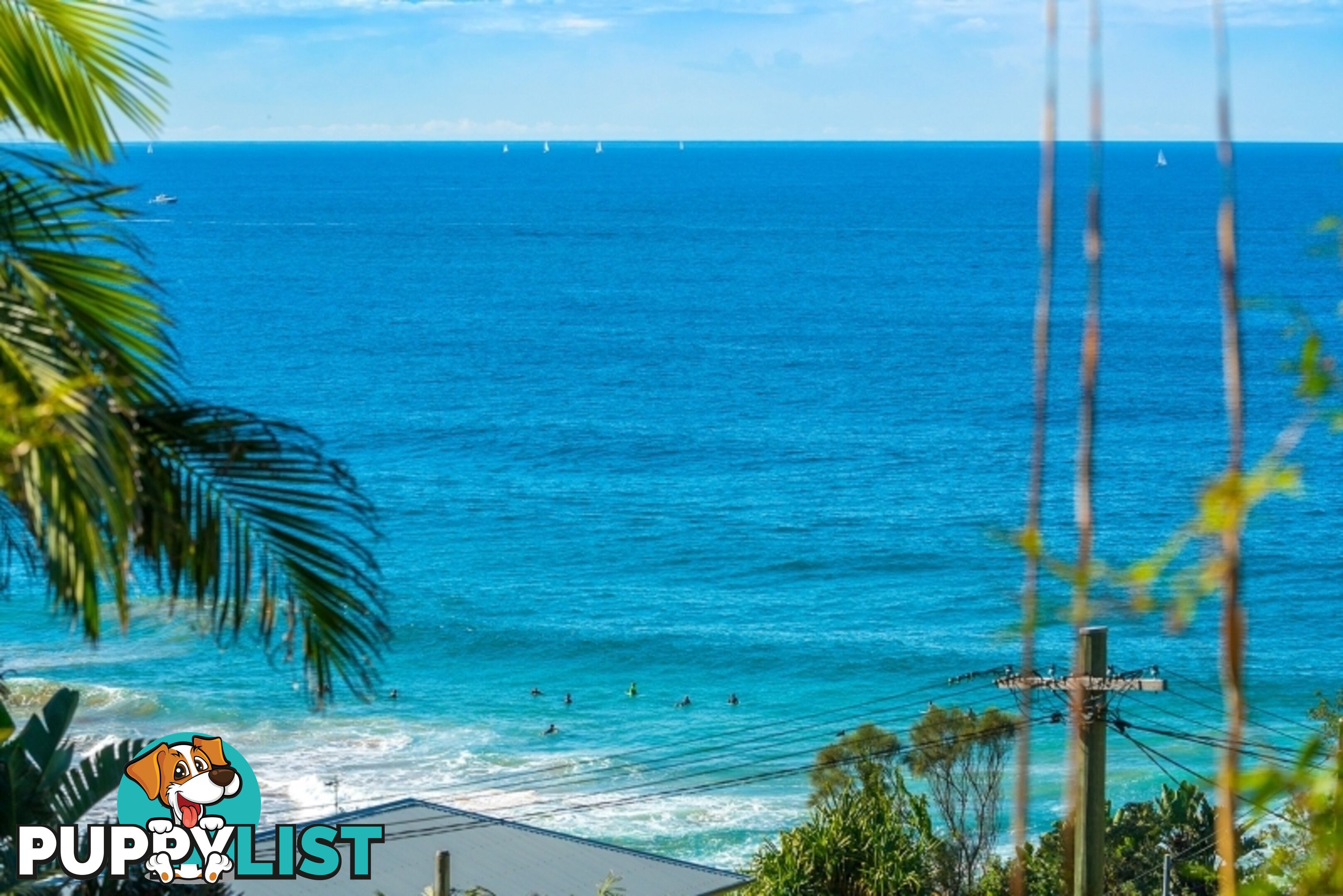 1 Malo Road WHALE BEACH NSW 2107