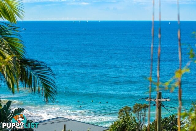 1 Malo Road WHALE BEACH NSW 2107