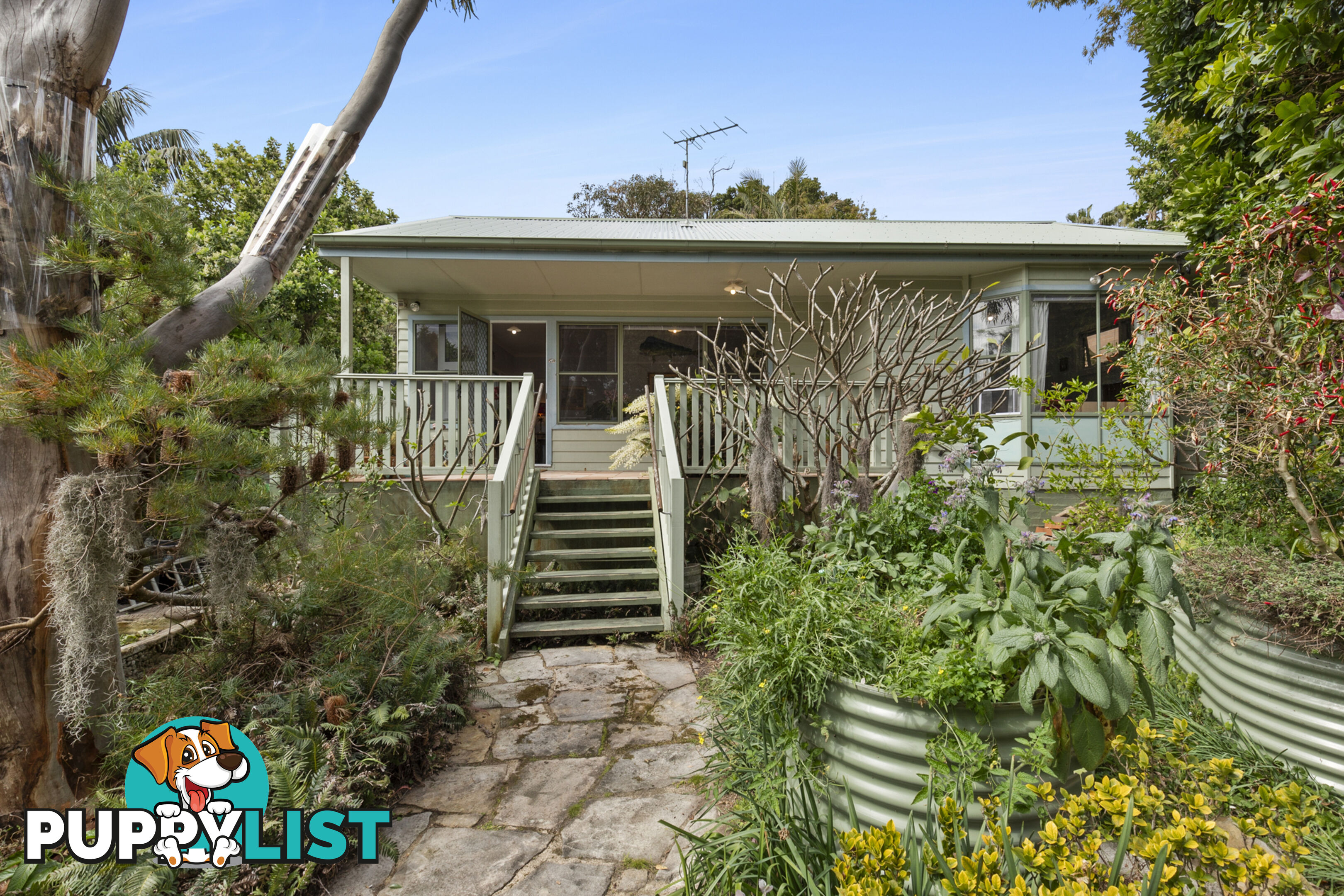 29 Myola Road NEWPORT NSW 2106