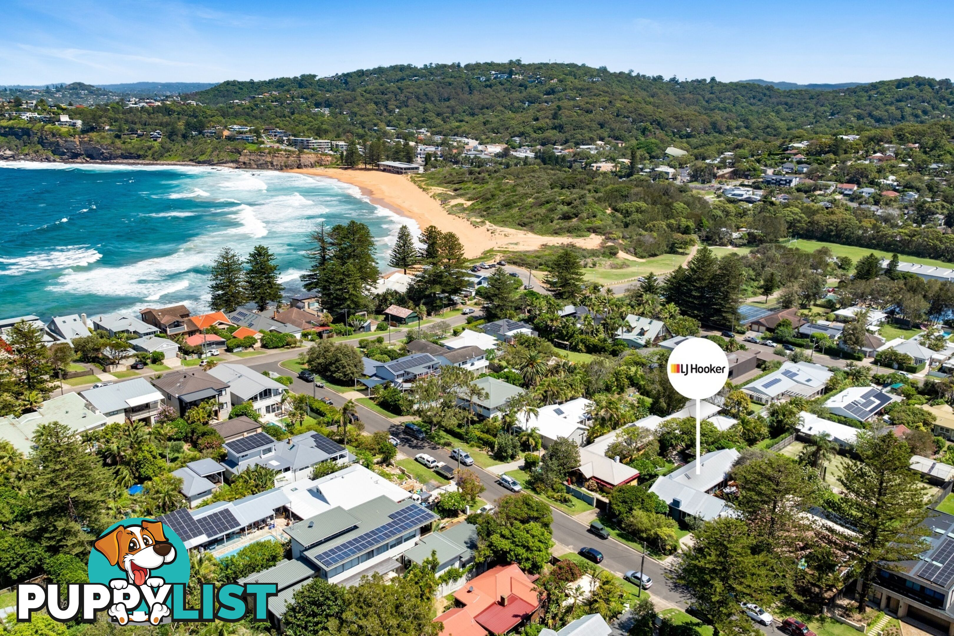 15 Harley Road AVALON BEACH NSW 2107