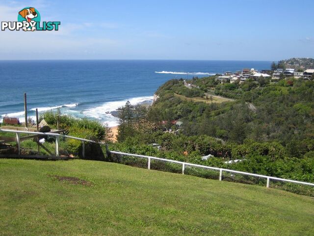 13 Plateau Road AVALON BEACH NSW 2107