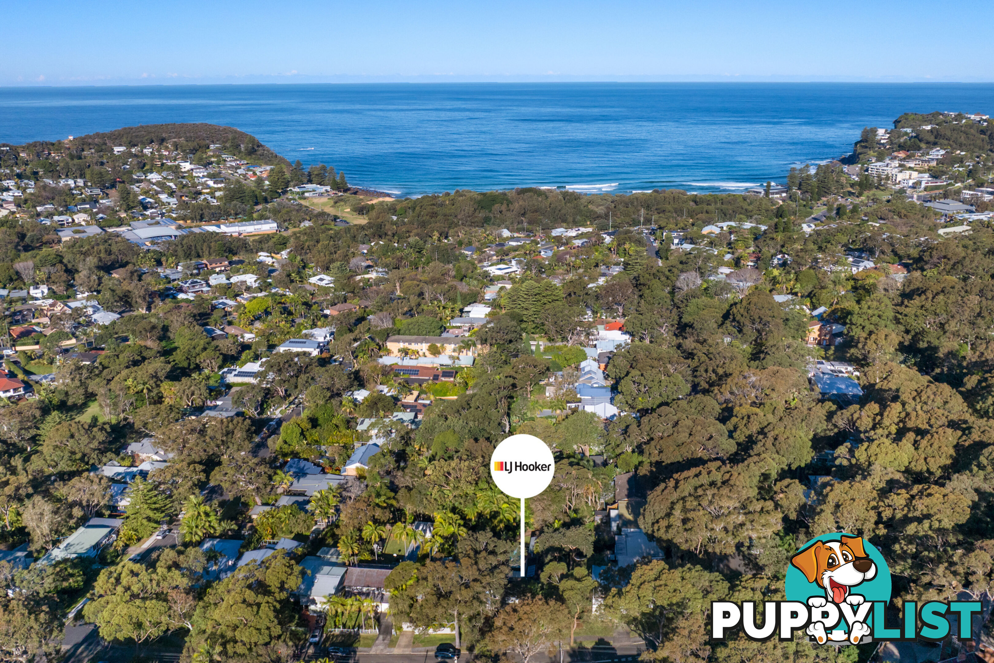 63 Elvina Avenue AVALON BEACH NSW 2107