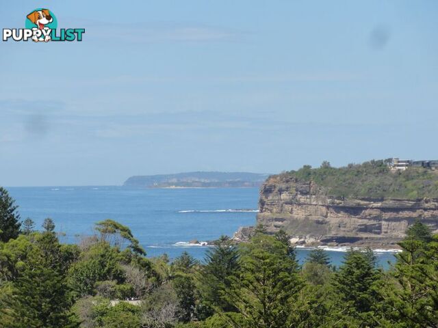 98 Binburra Avenue AVALON NSW 2107