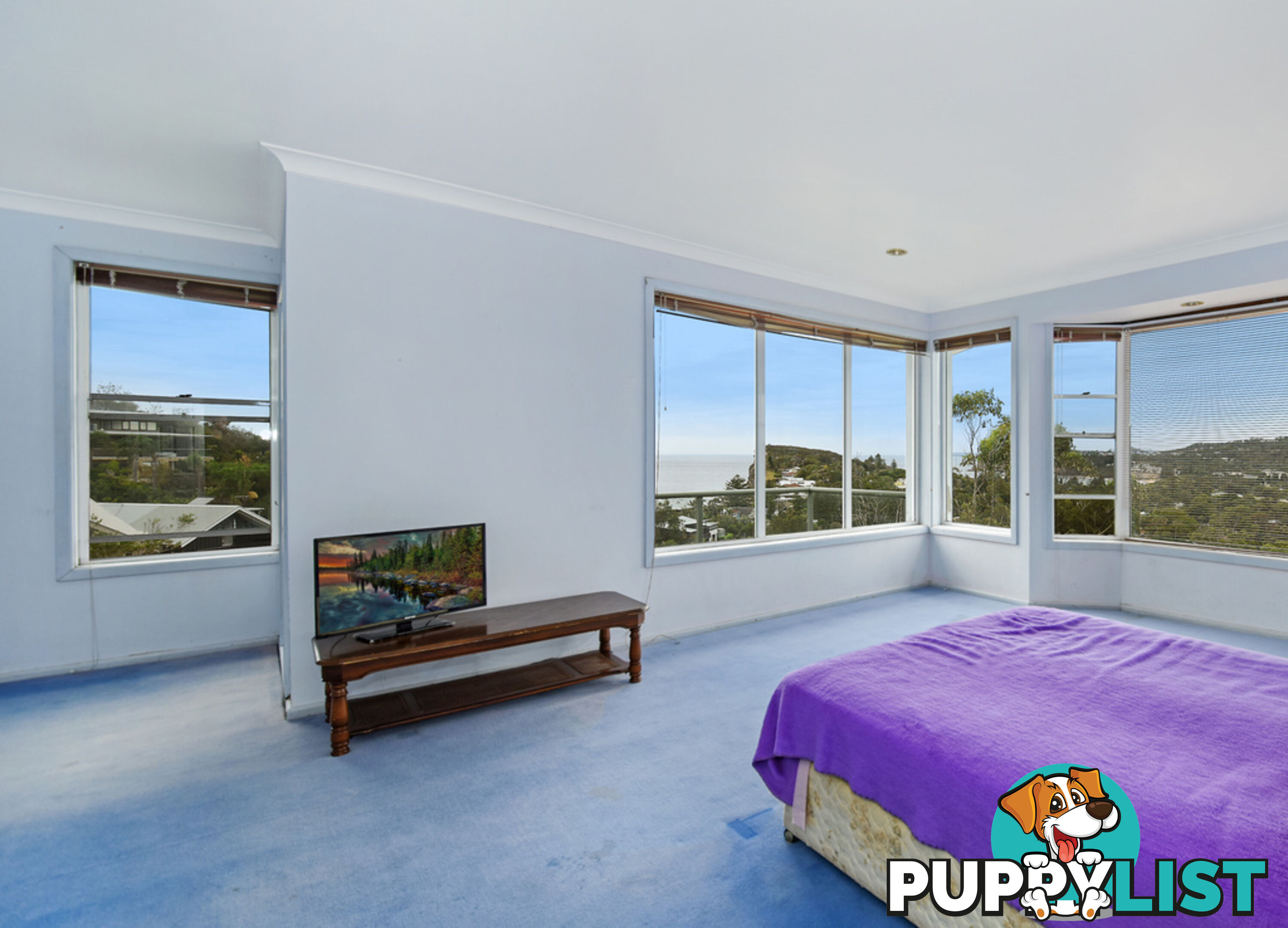 98 Binburra Avenue AVALON NSW 2107