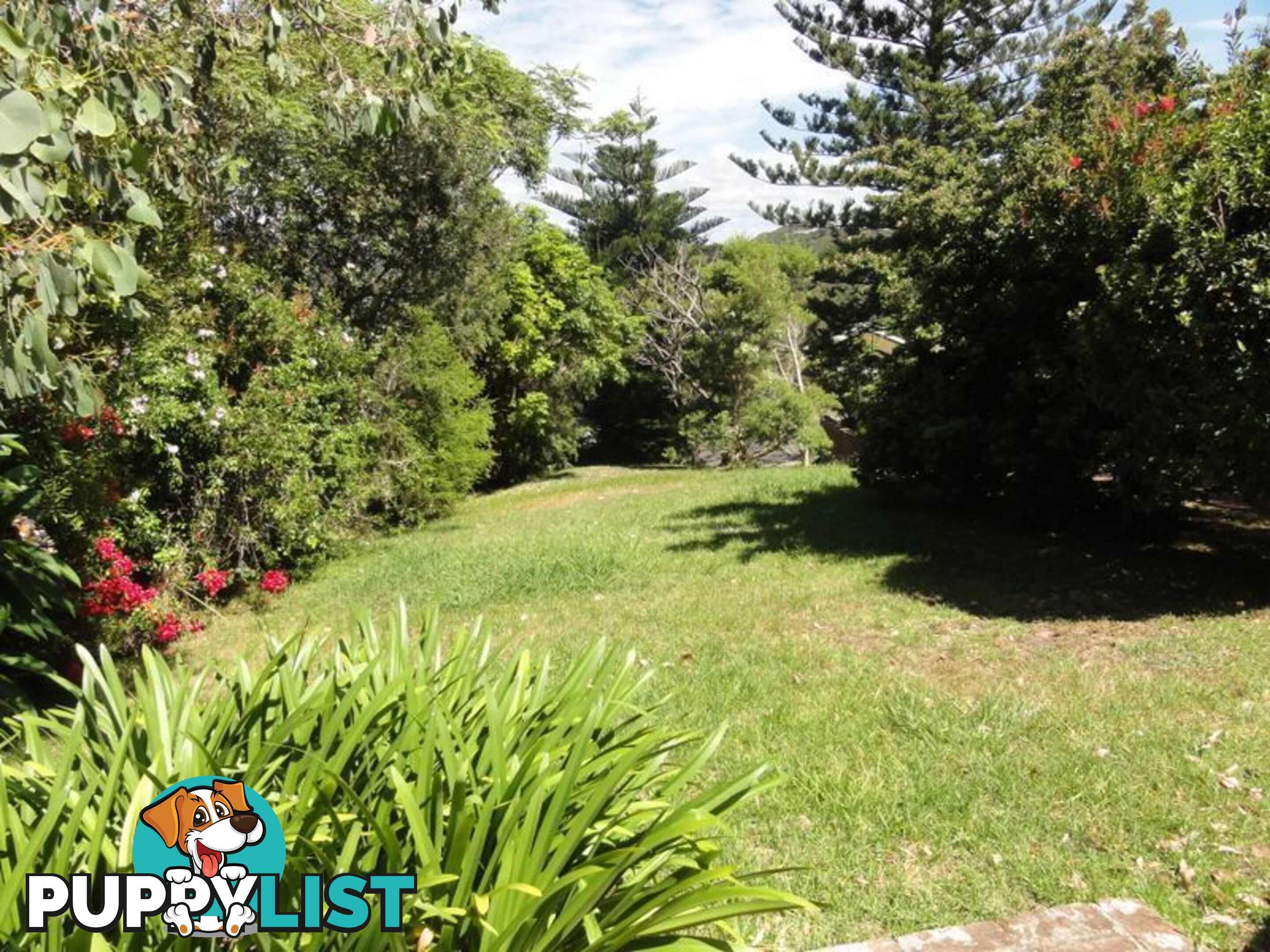 98 Binburra Avenue AVALON NSW 2107