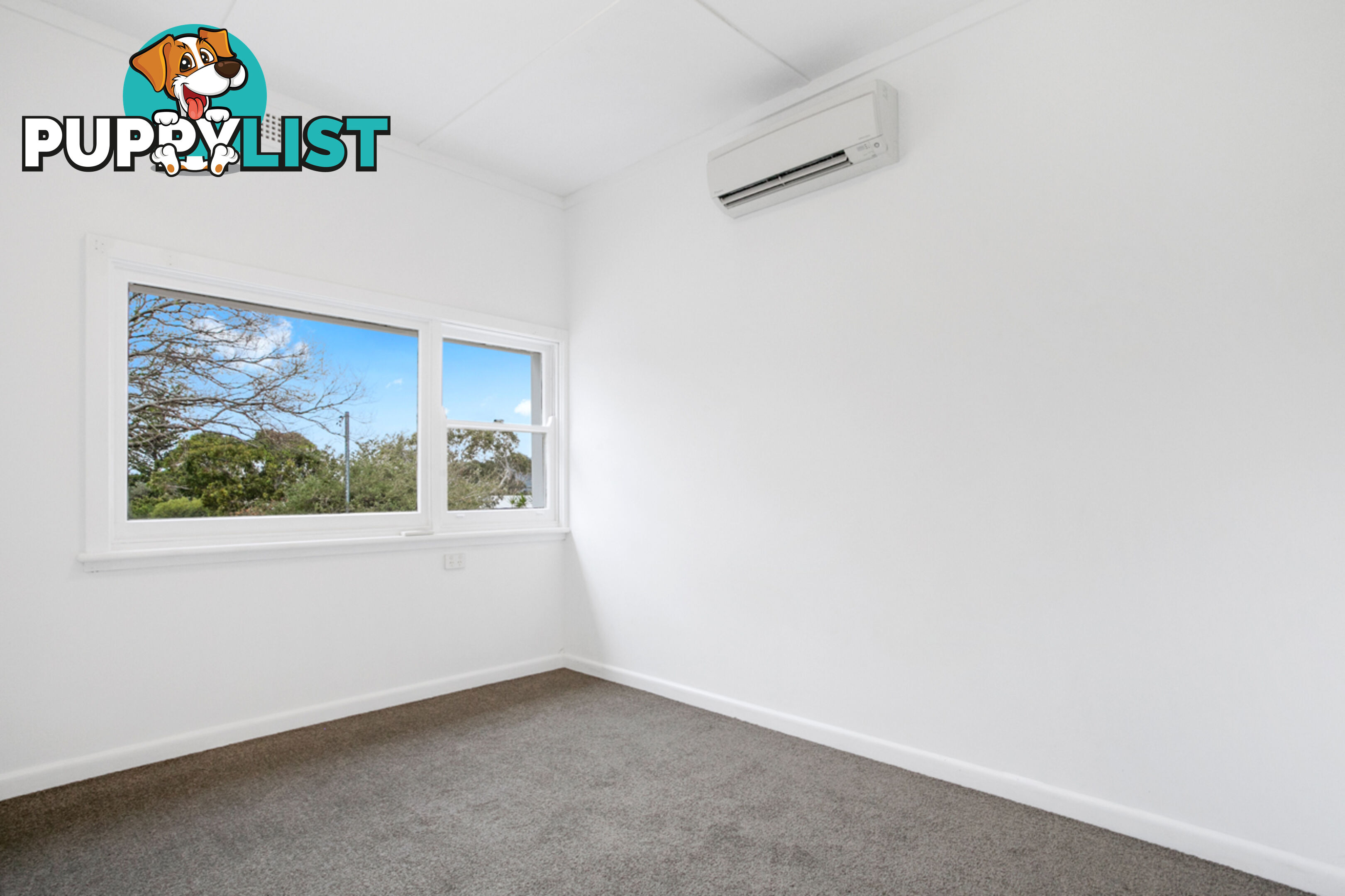 20 Coonanga Road AVALON BEACH NSW 2107