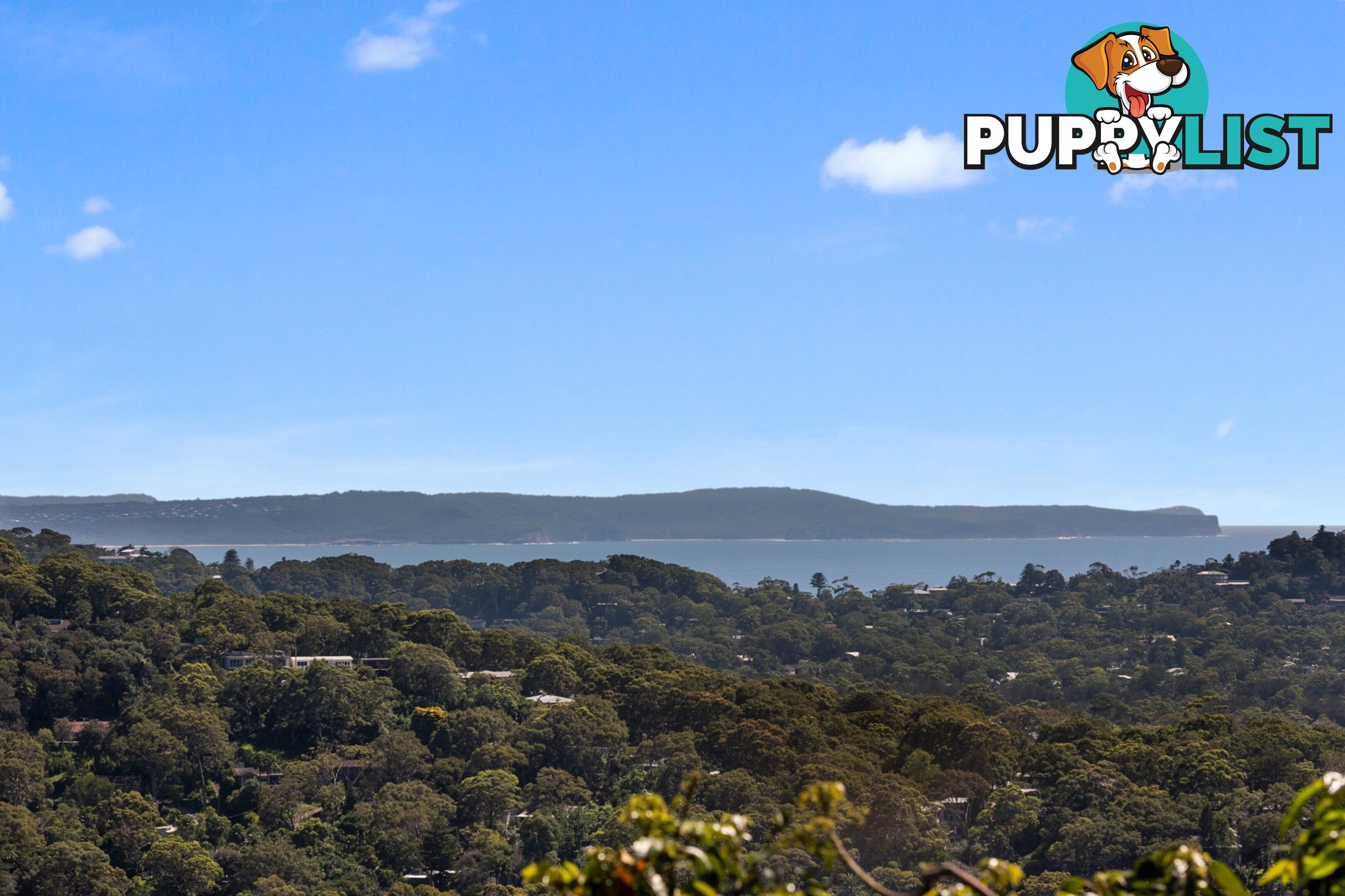 14 The Circle BILGOLA PLATEAU NSW 2107