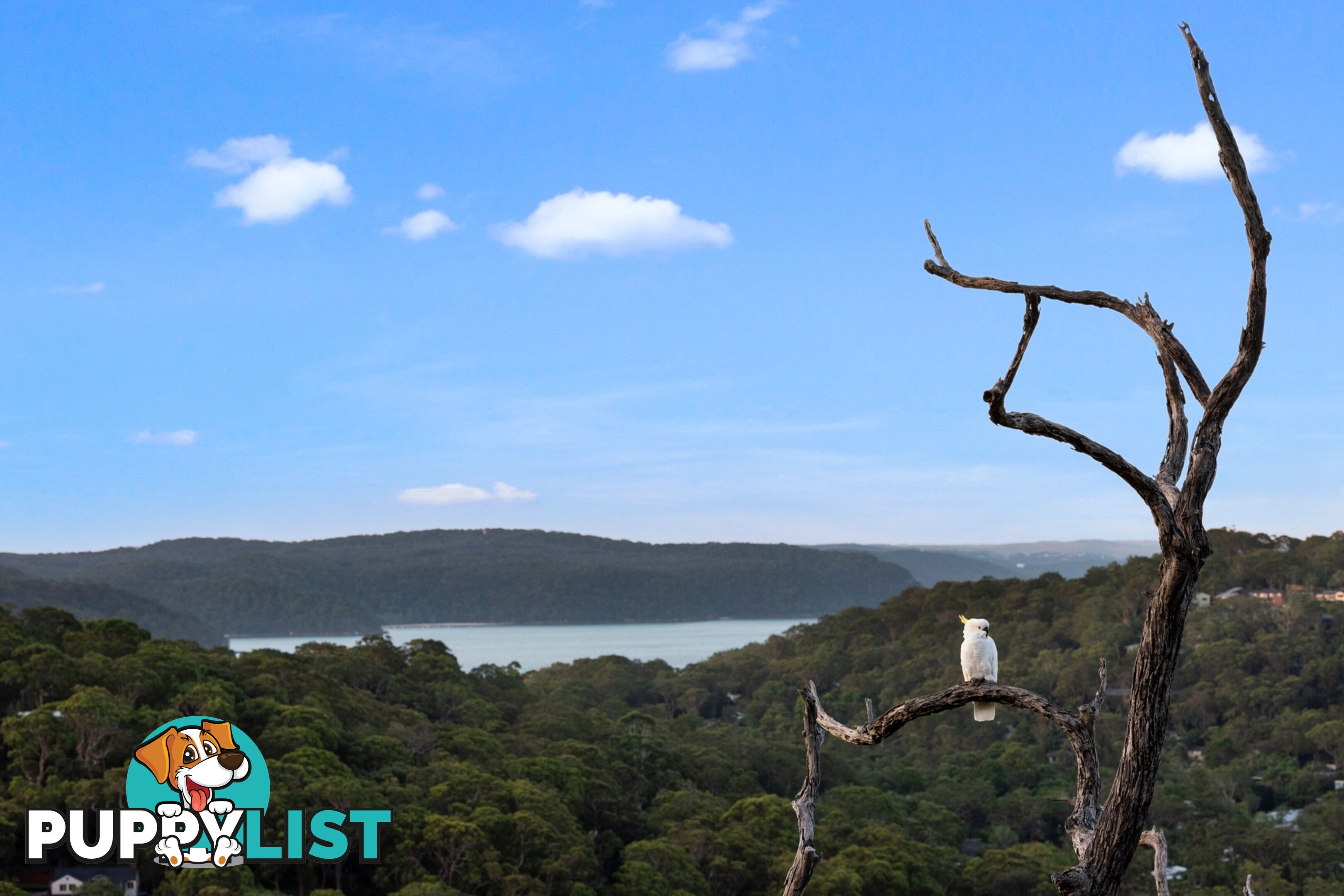 14 The Circle BILGOLA PLATEAU NSW 2107
