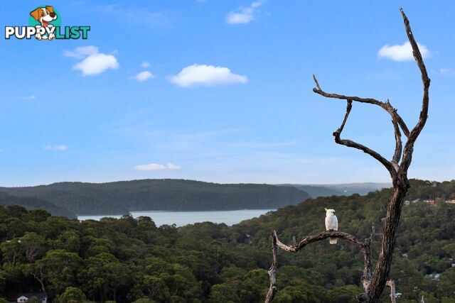 14 The Circle BILGOLA PLATEAU NSW 2107
