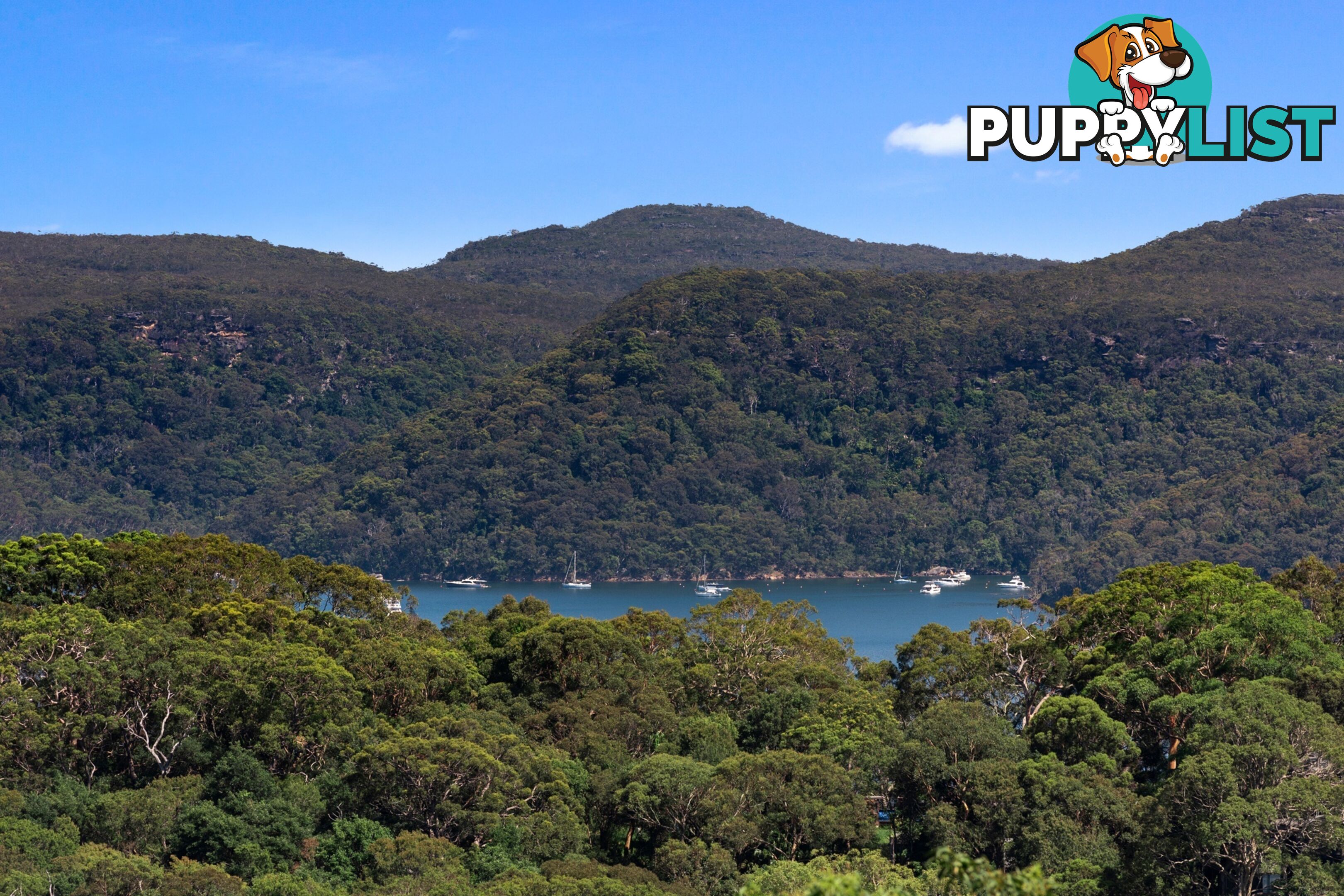 14 The Circle BILGOLA PLATEAU NSW 2107