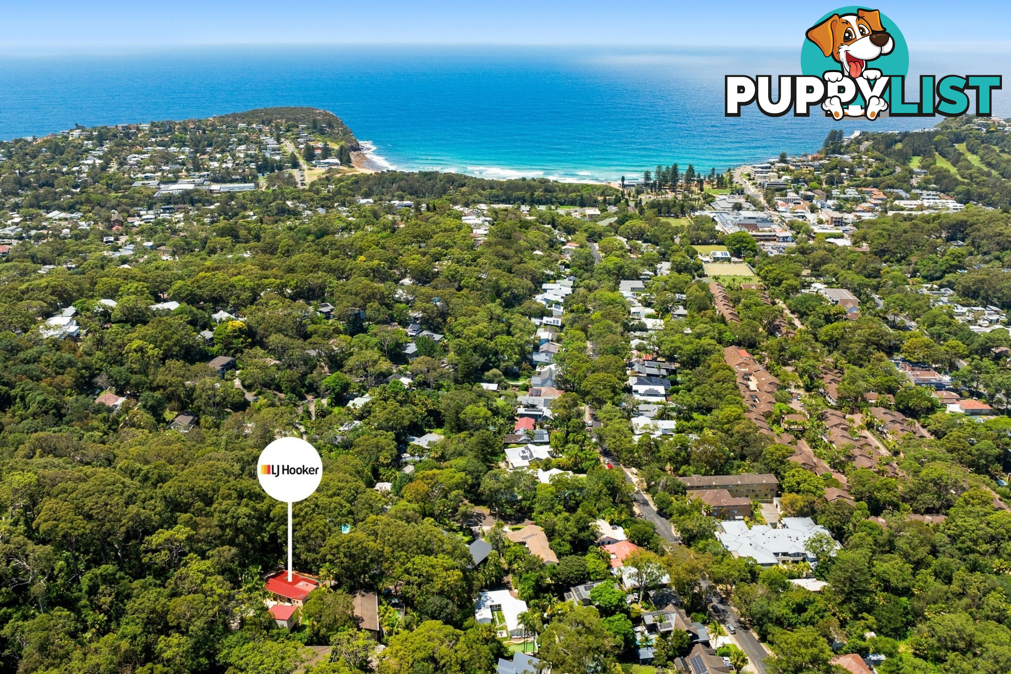 6 Burrendong Place AVALON BEACH NSW 2107