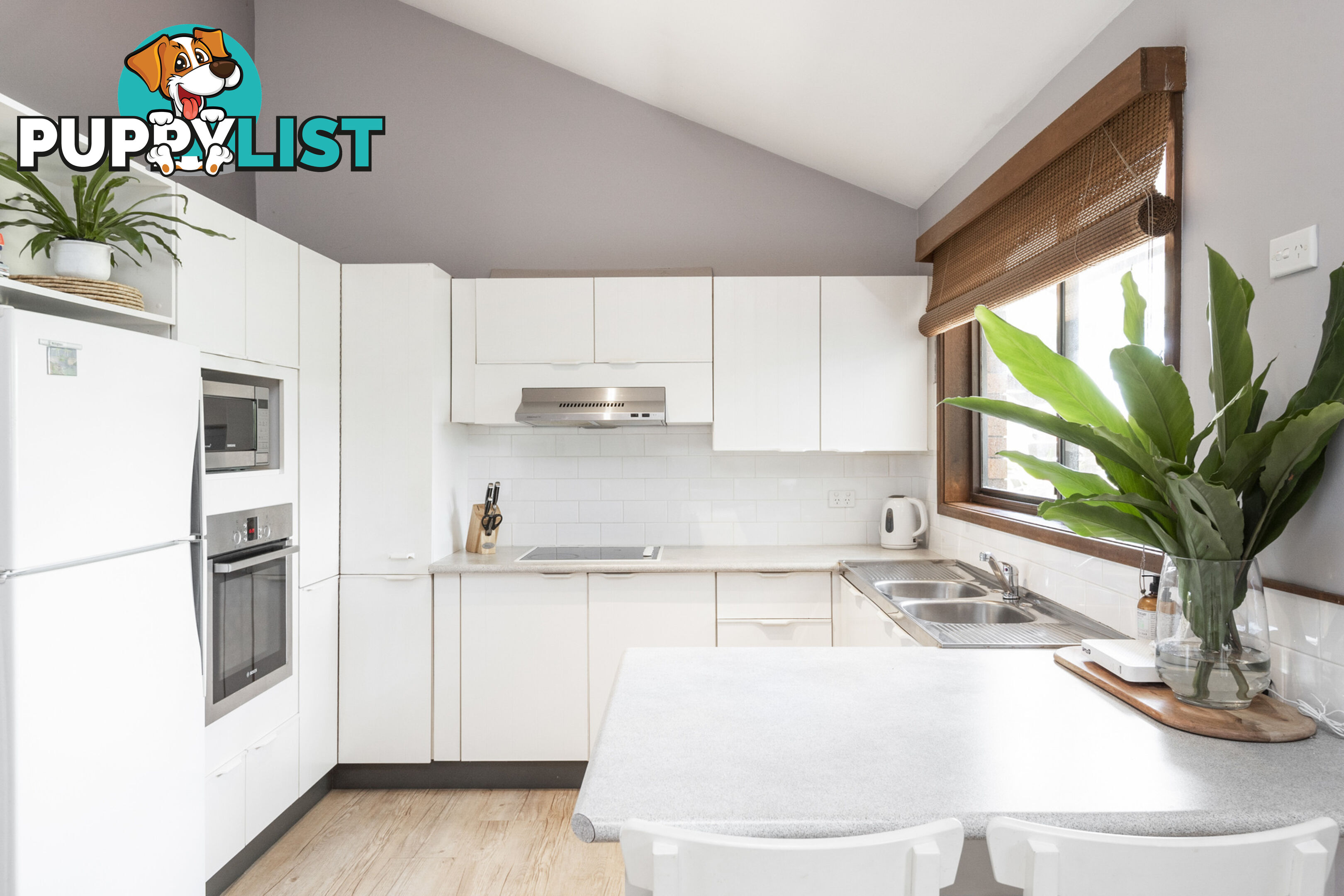 57 Park Avenue AVALON BEACH NSW 2107
