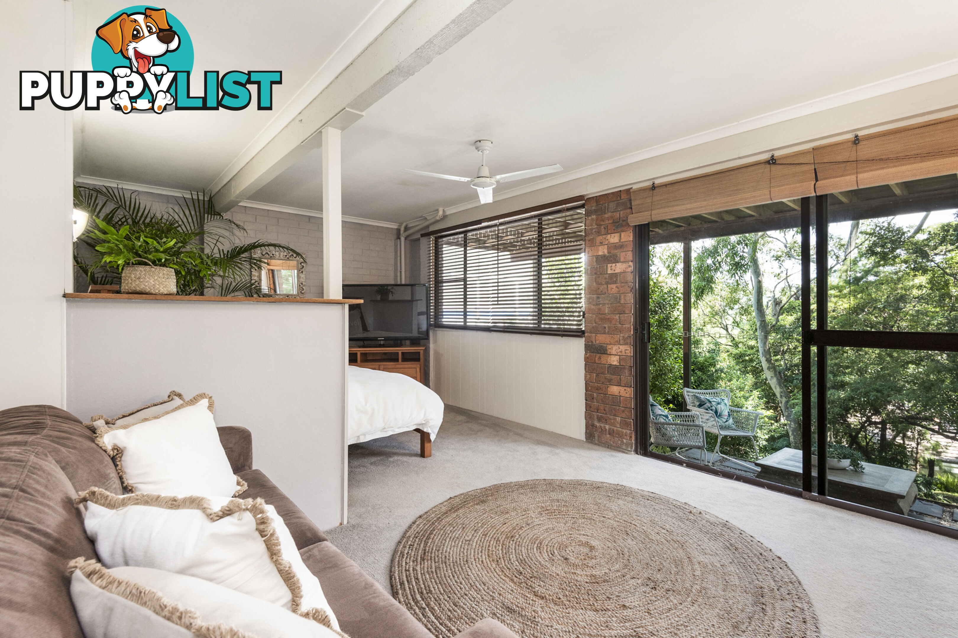 57 Park Avenue AVALON BEACH NSW 2107