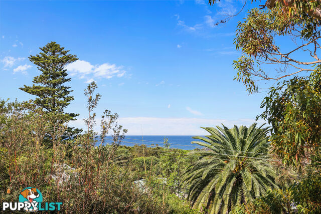 54A Central Road AVALON BEACH NSW 2107