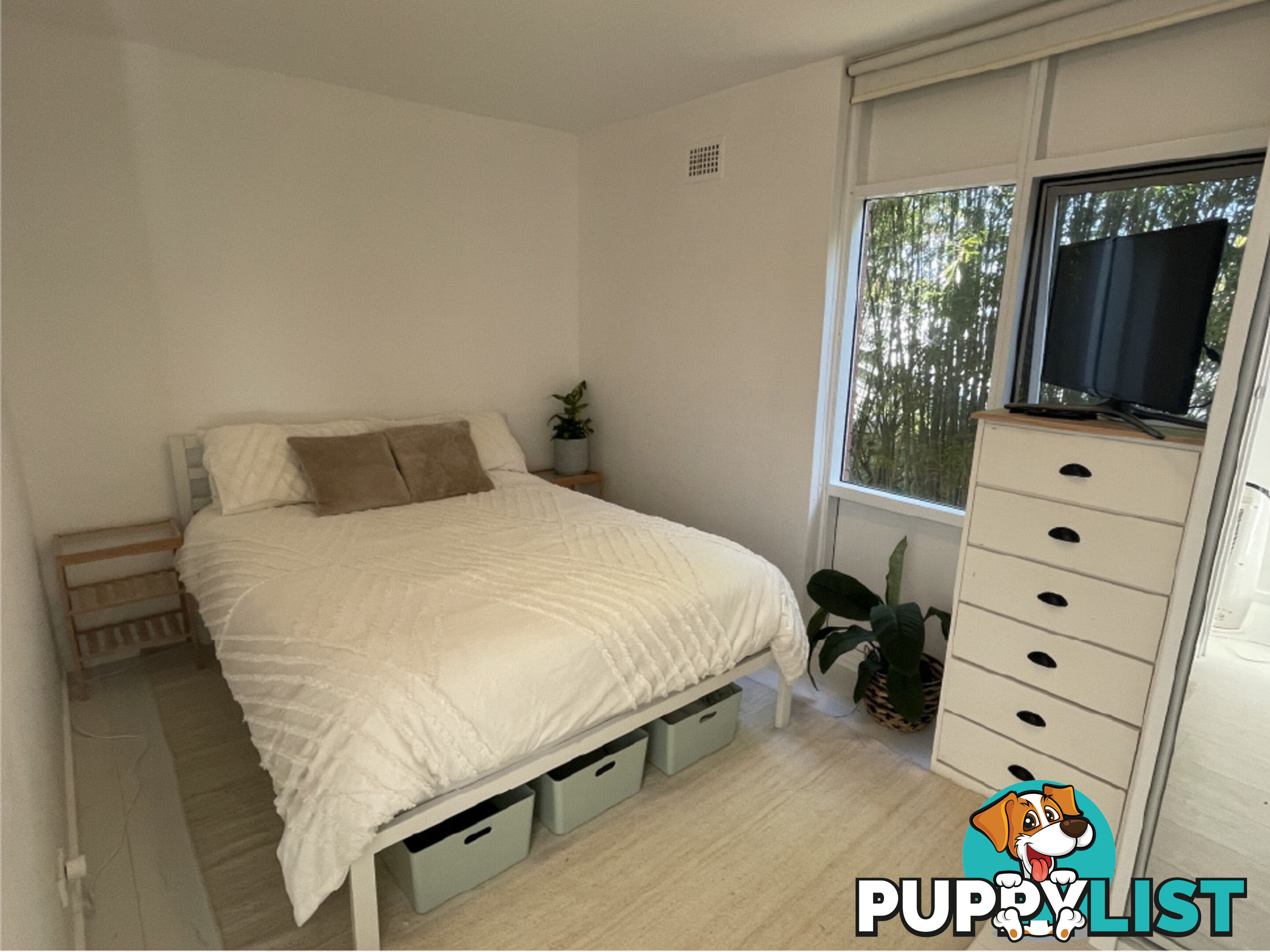 2/660 Barrenjoey Road AVALON BEACH NSW 2107