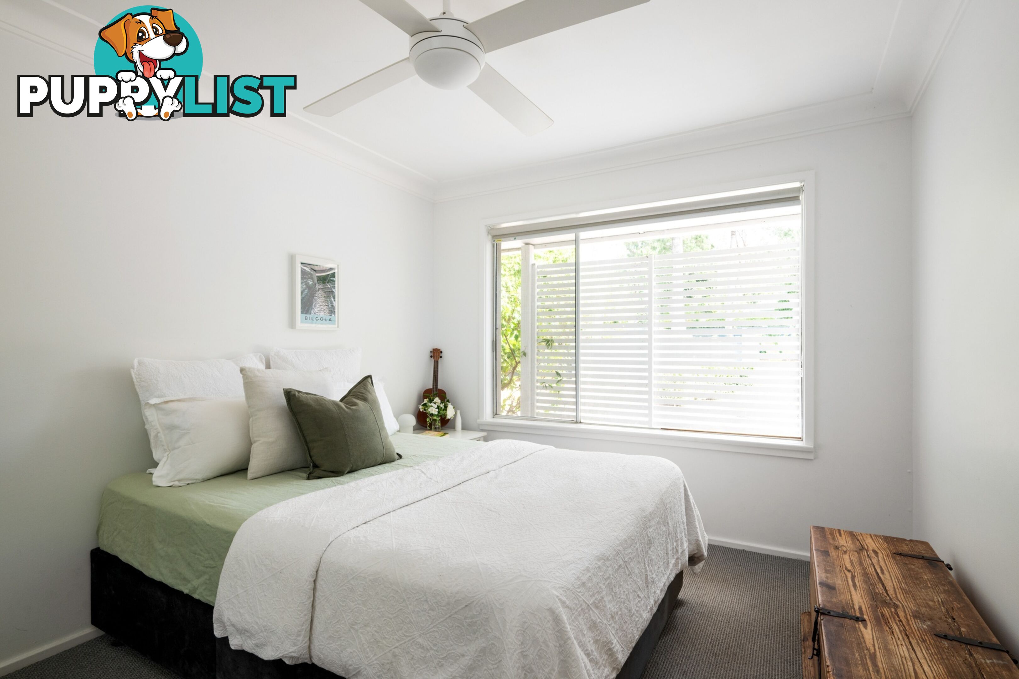 62 Patrick Street AVALON BEACH NSW 2107