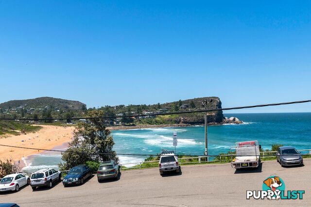 9/1-3 Avalon Parade AVALON BEACH NSW 2107