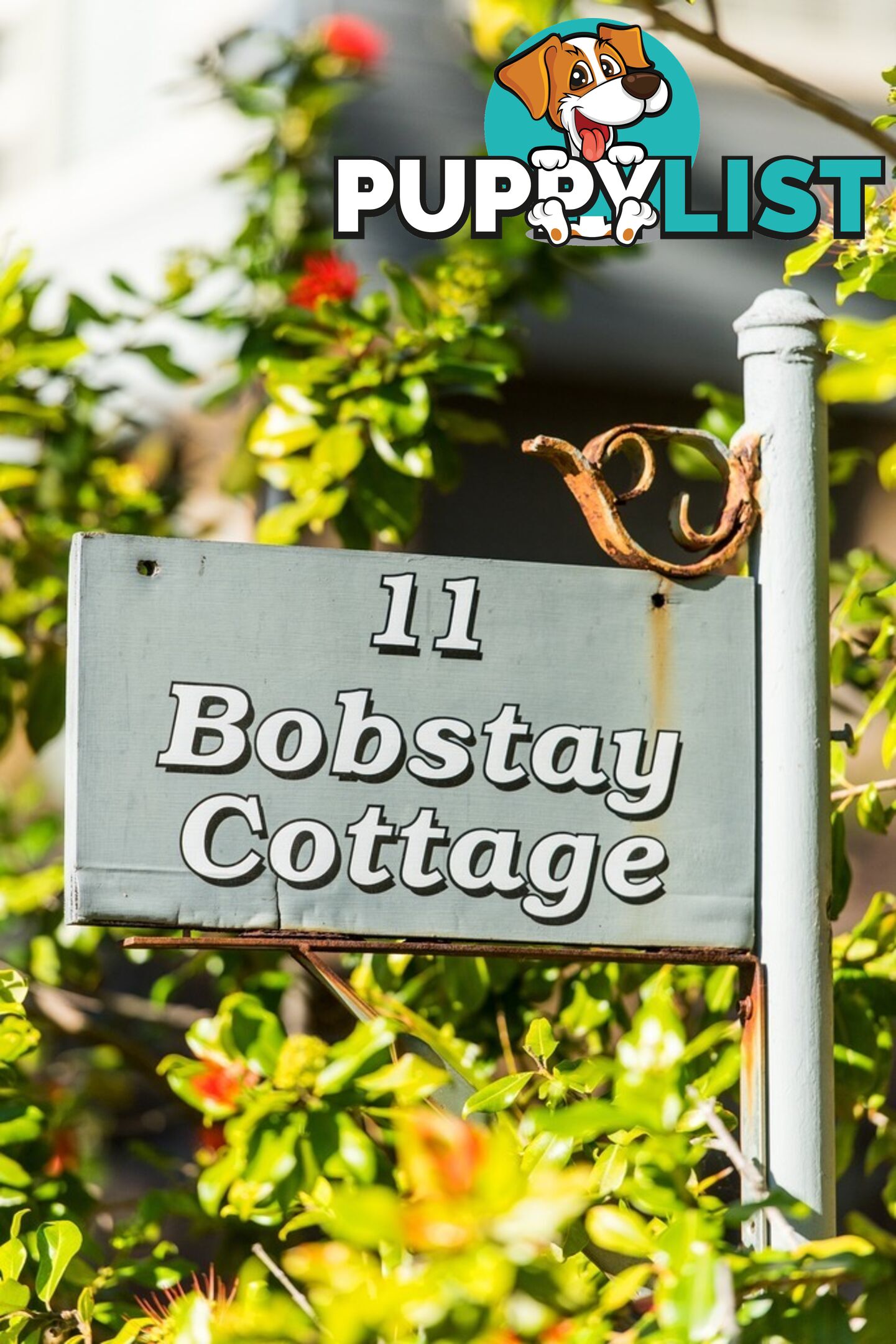 11 Florida Road PALM BEACH NSW 2108
