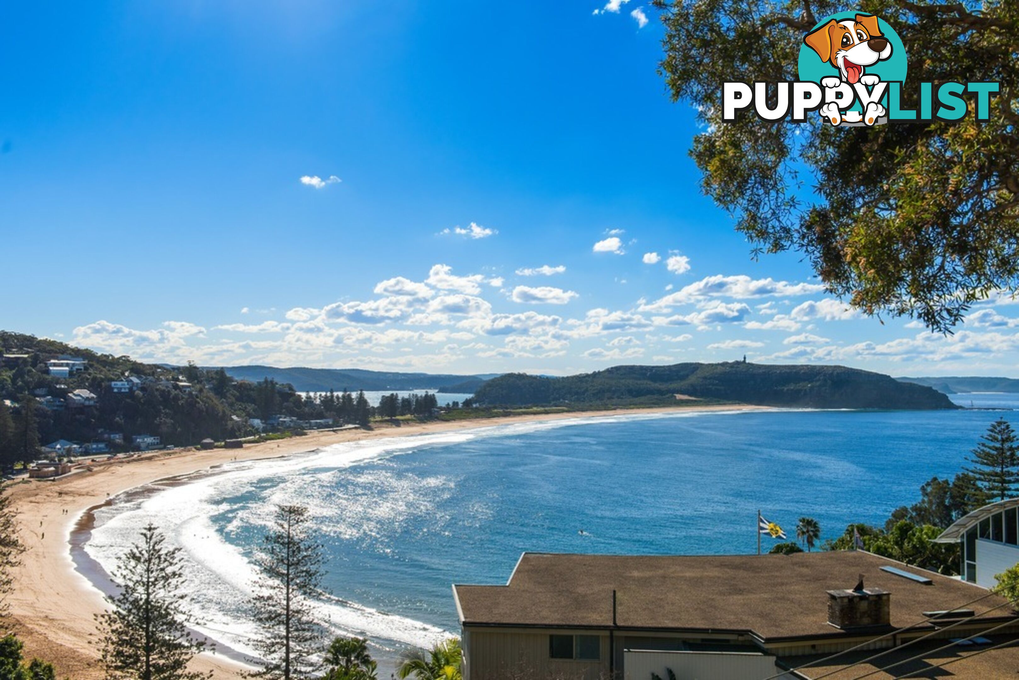 11 Florida Road PALM BEACH NSW 2108