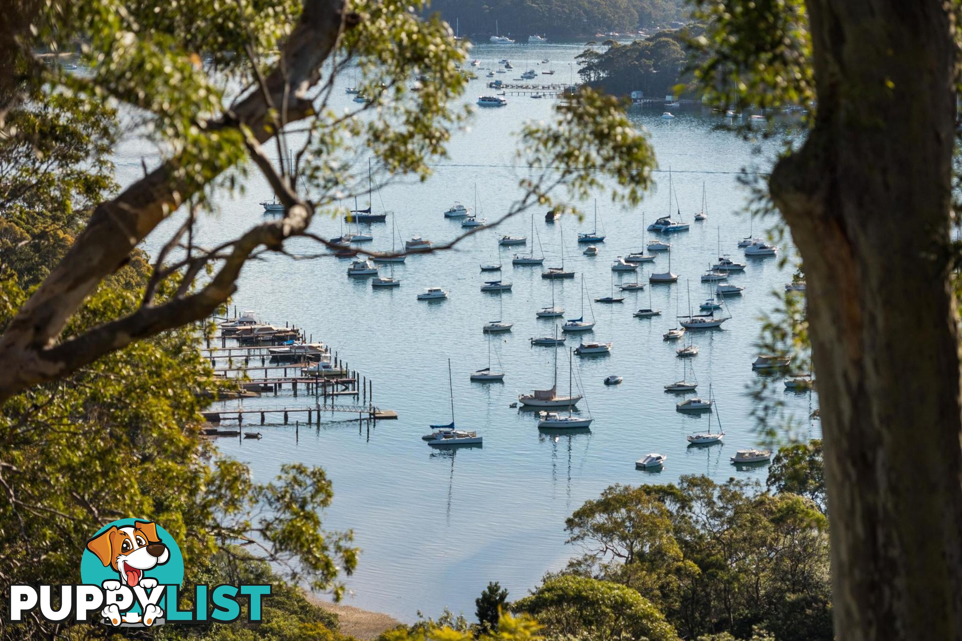 Upper 6 Joanne Place BILGOLA PLATEAU NSW 2107