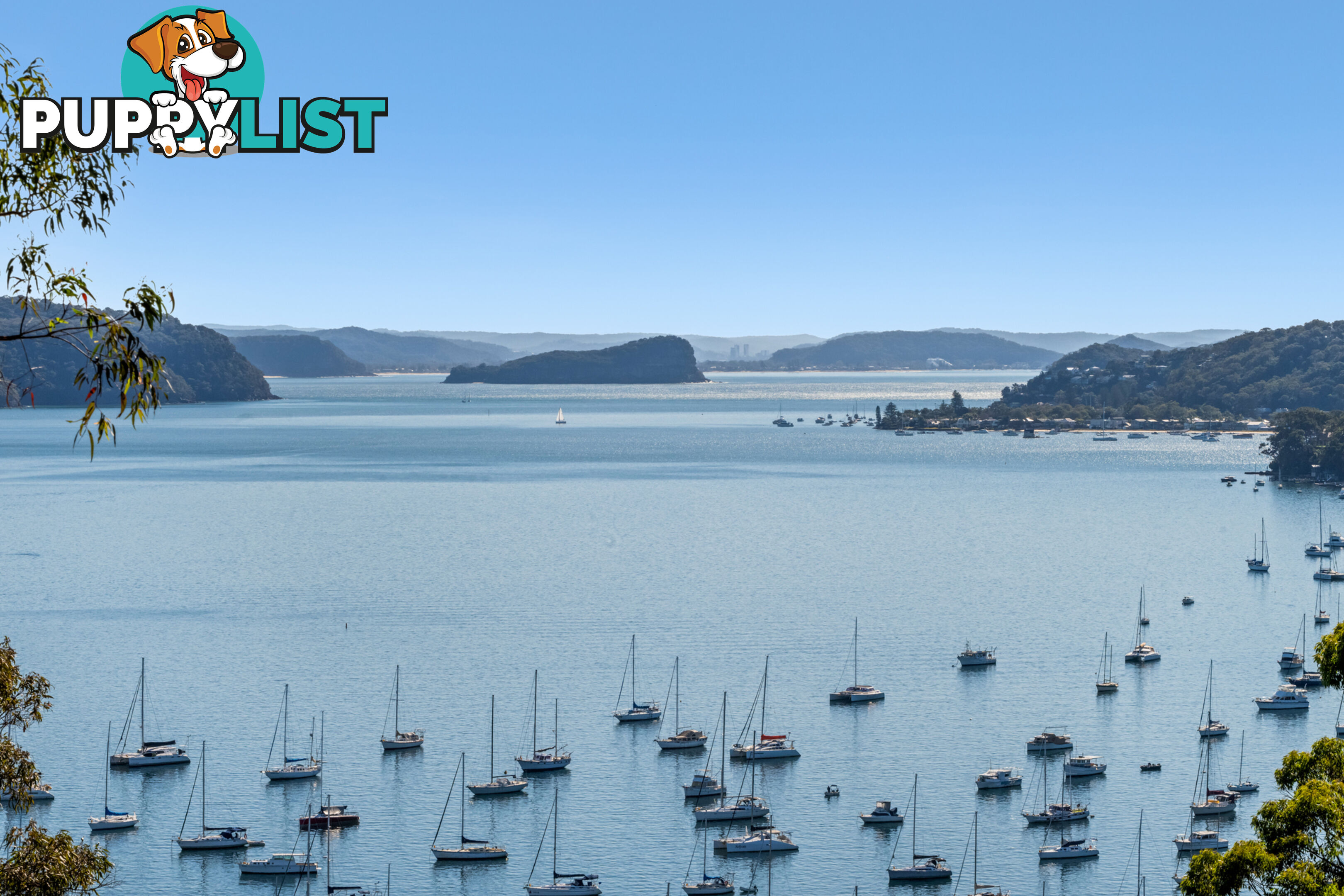 37 Wandeen Road AVALON BEACH NSW 2107