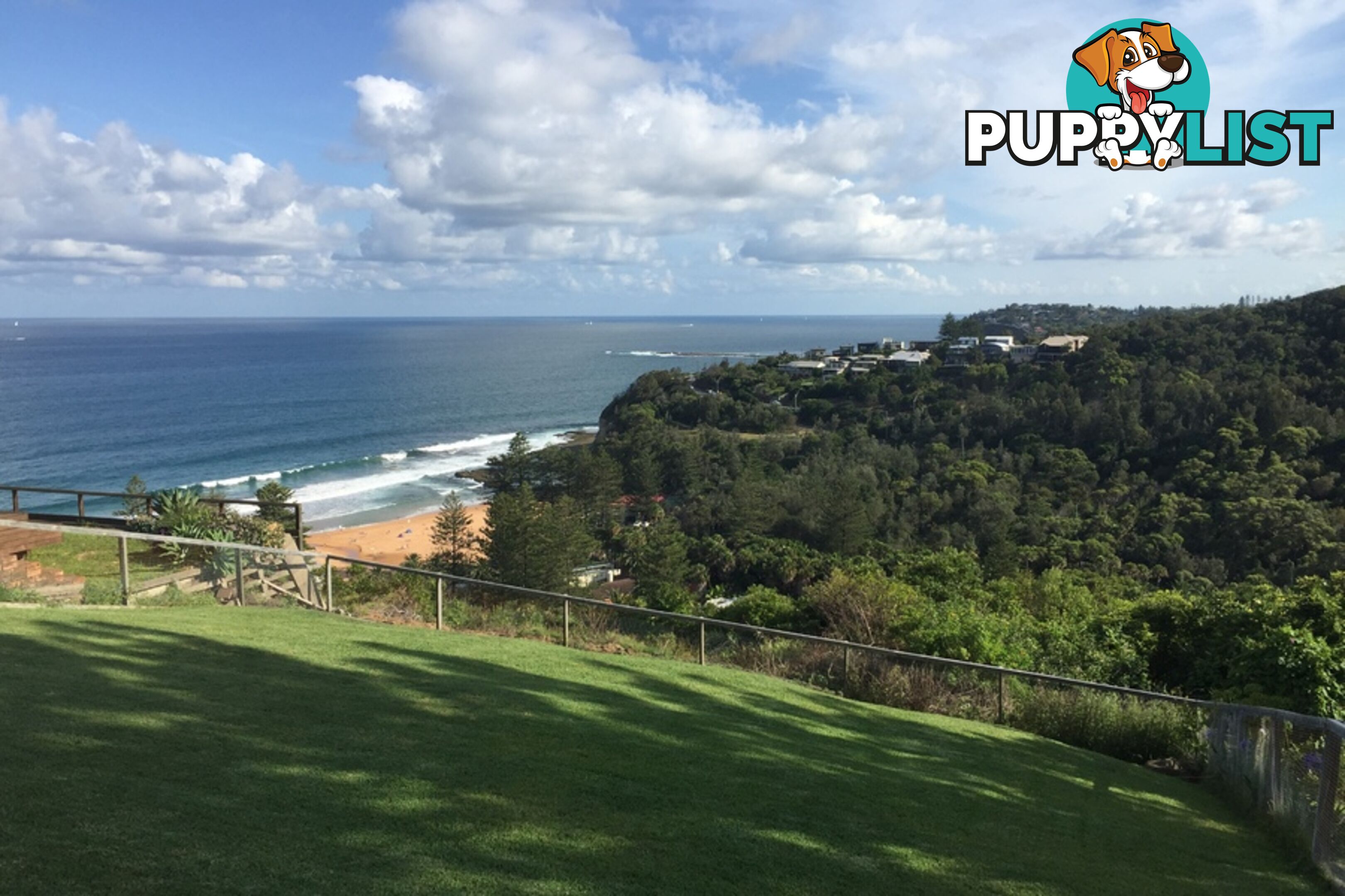 13 Plateau Road BILGOLA NSW 2107