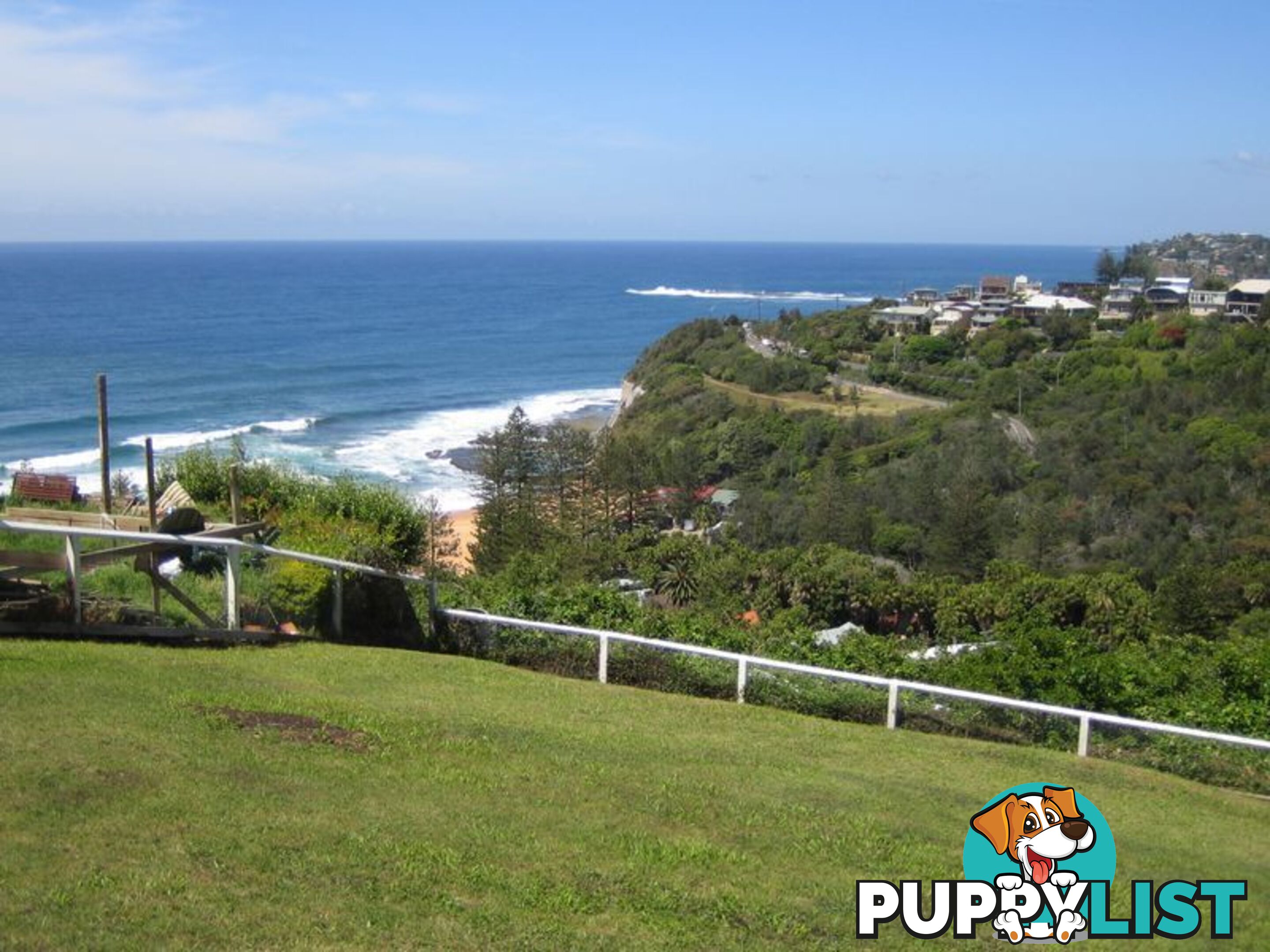 13 Plateau Road BILGOLA NSW 2107