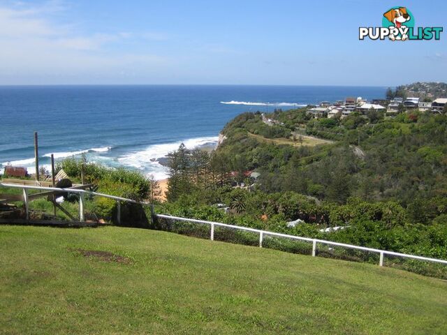 13 Plateau Road BILGOLA NSW 2107