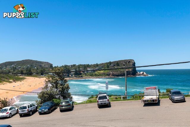 9/1-3 Avalon Parade AVALON BEACH NSW 2107