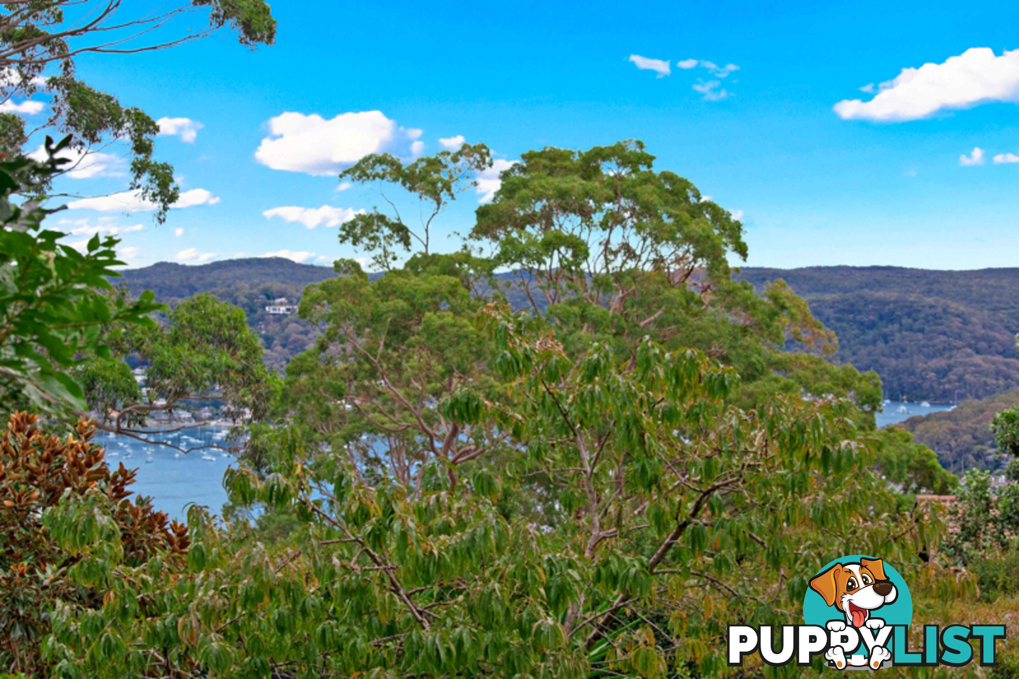 172 Plateau Road BILGOLA PLATEAU NSW 2107