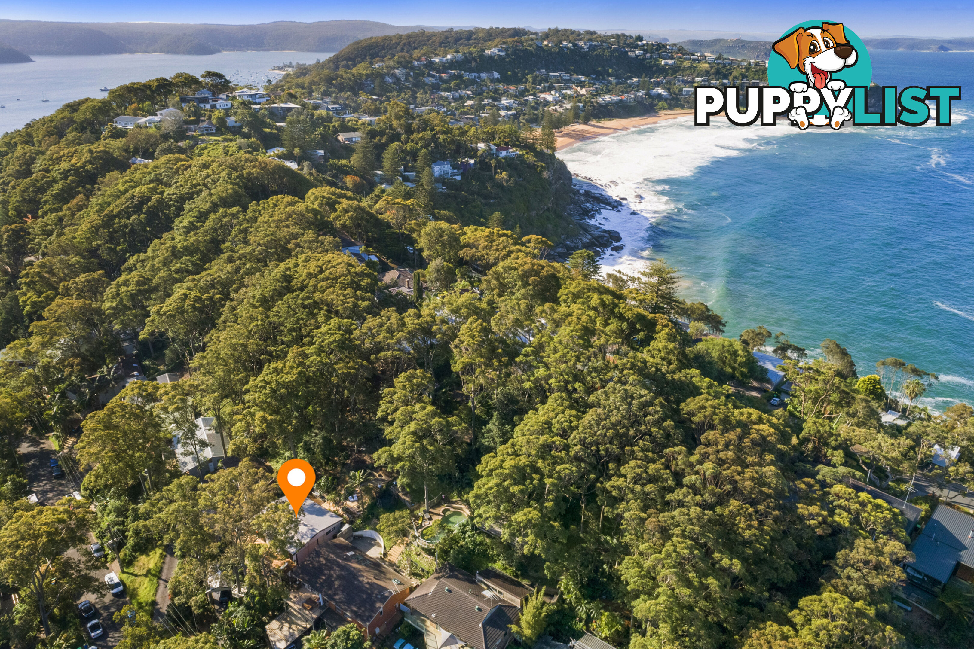 65 Dolphin Crescent AVALON BEACH NSW 2107